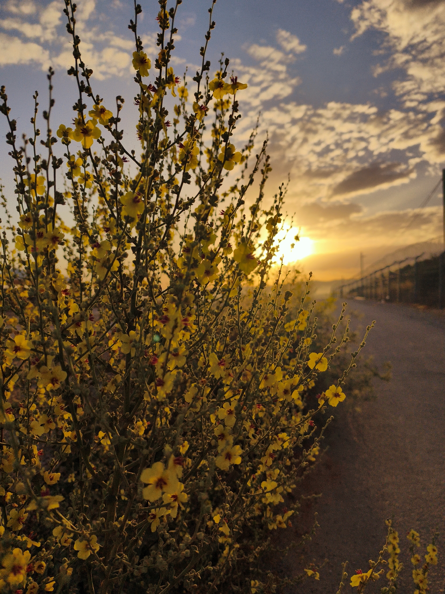 Sunset moments captured across rural Lachish Regional Council
