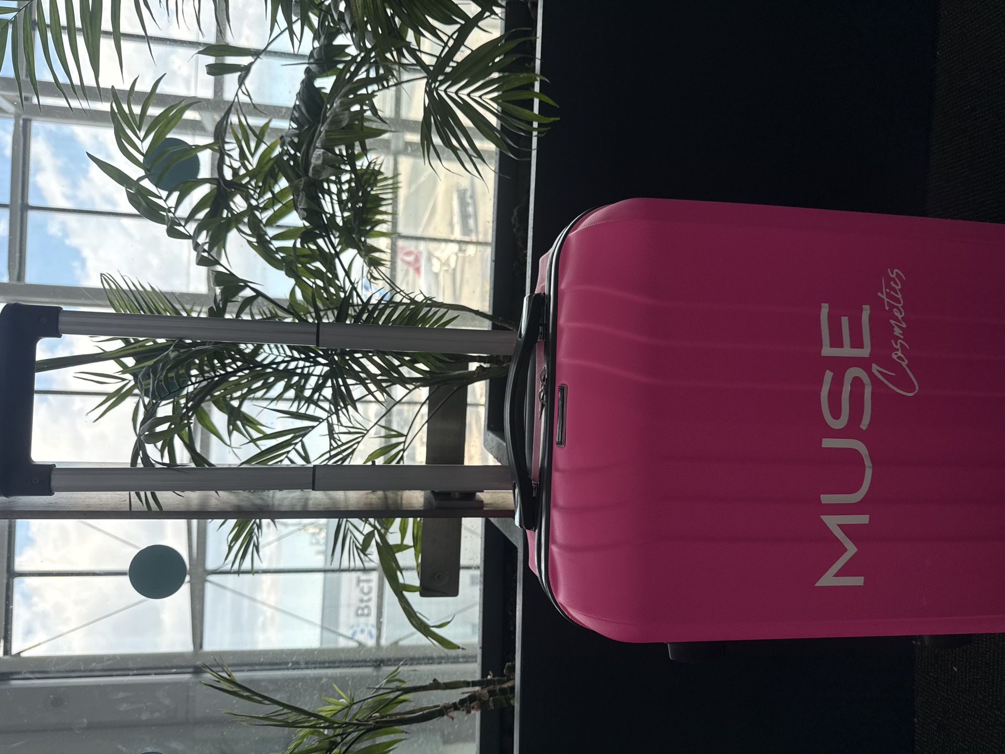 Pink cosmetics suitcase spotted beside palm plant in Turkey