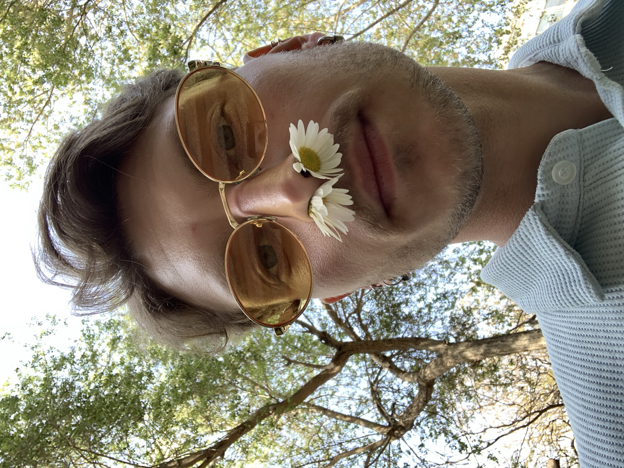 Casual moments captured in Tel Aviv: dogs, selfies