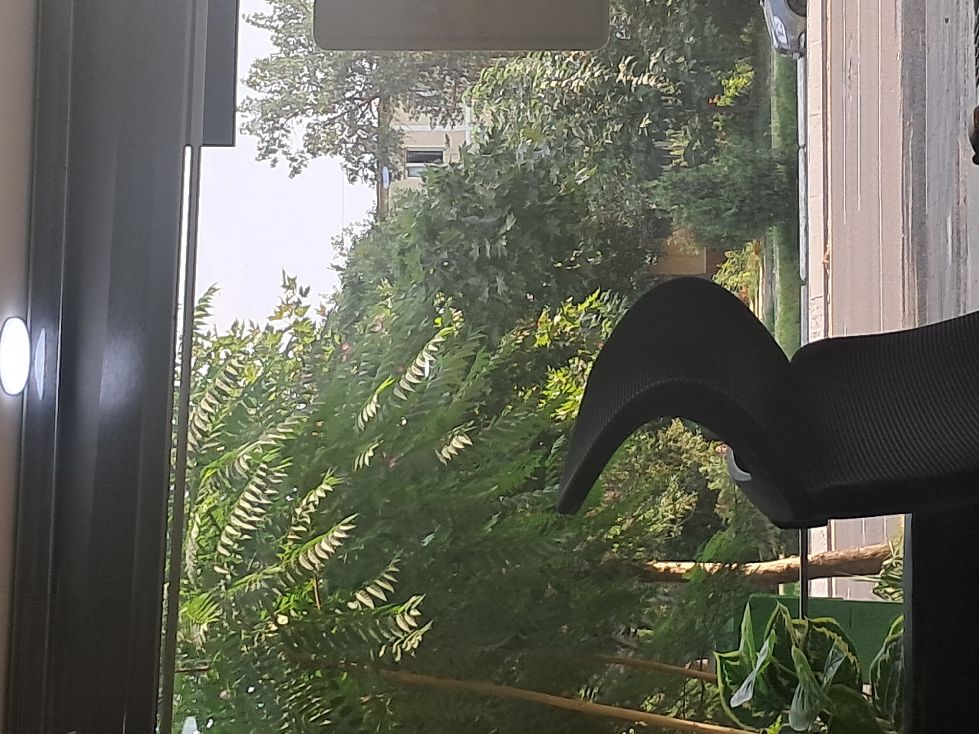 Tashkent workspace with aquarium fish and street view