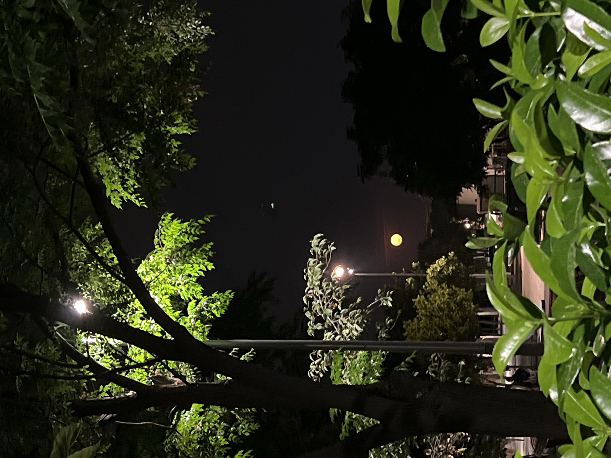 Evening skate session at a Madrid park under a rising moon