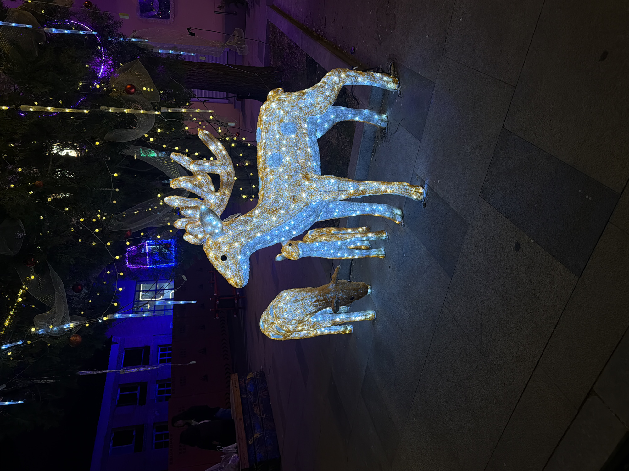 Holiday decorations and illuminated displays observed across Linghe, China