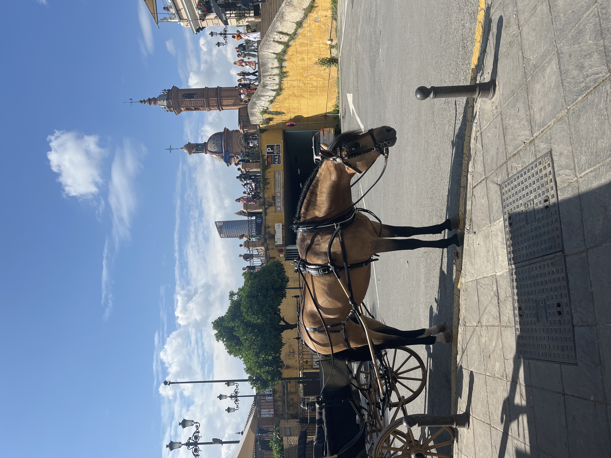 Daily street life documented across central Sevilla