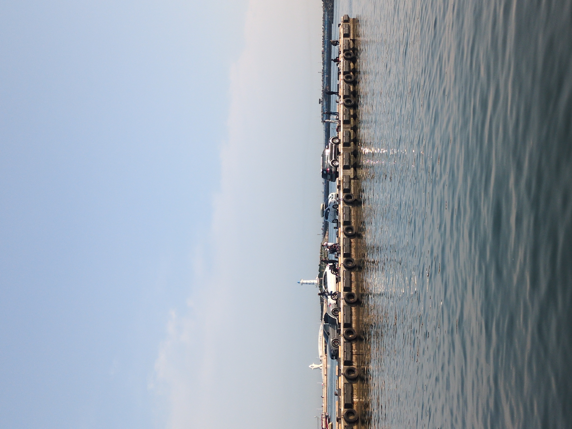 Morning fishing activity documented at Ulsan pier