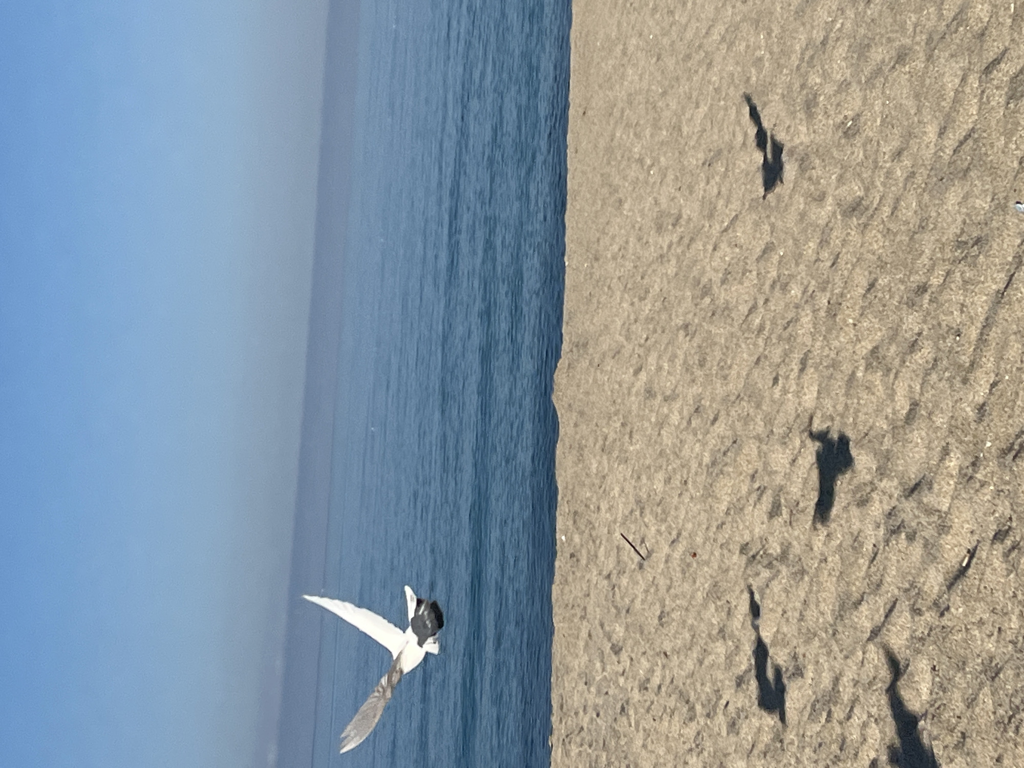 Morning beach scenes captured along Alanya Turkey coastline