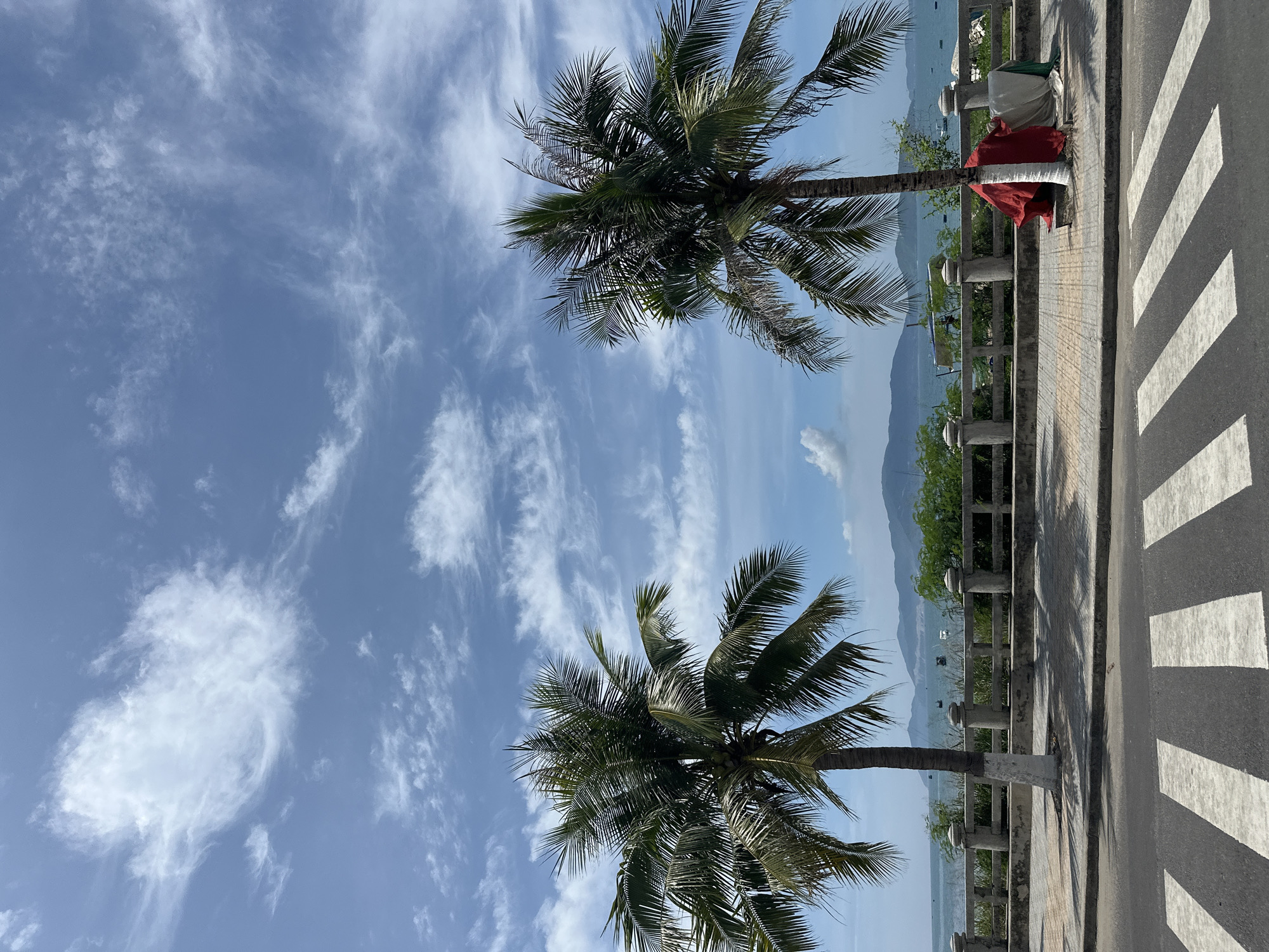 Coastal promenade with palm trees documented in Nha Trang