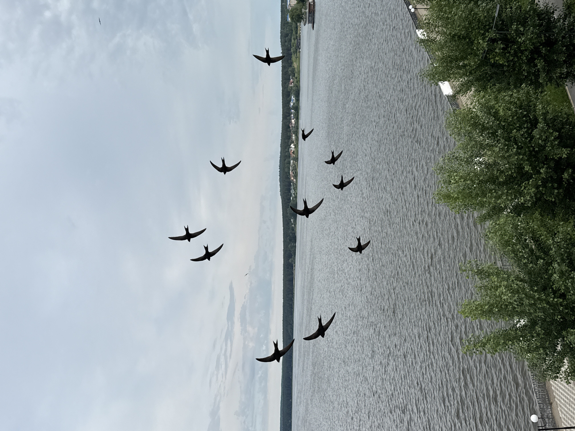 Birds observed flying over Votkinsk Reservoir under overcast skies