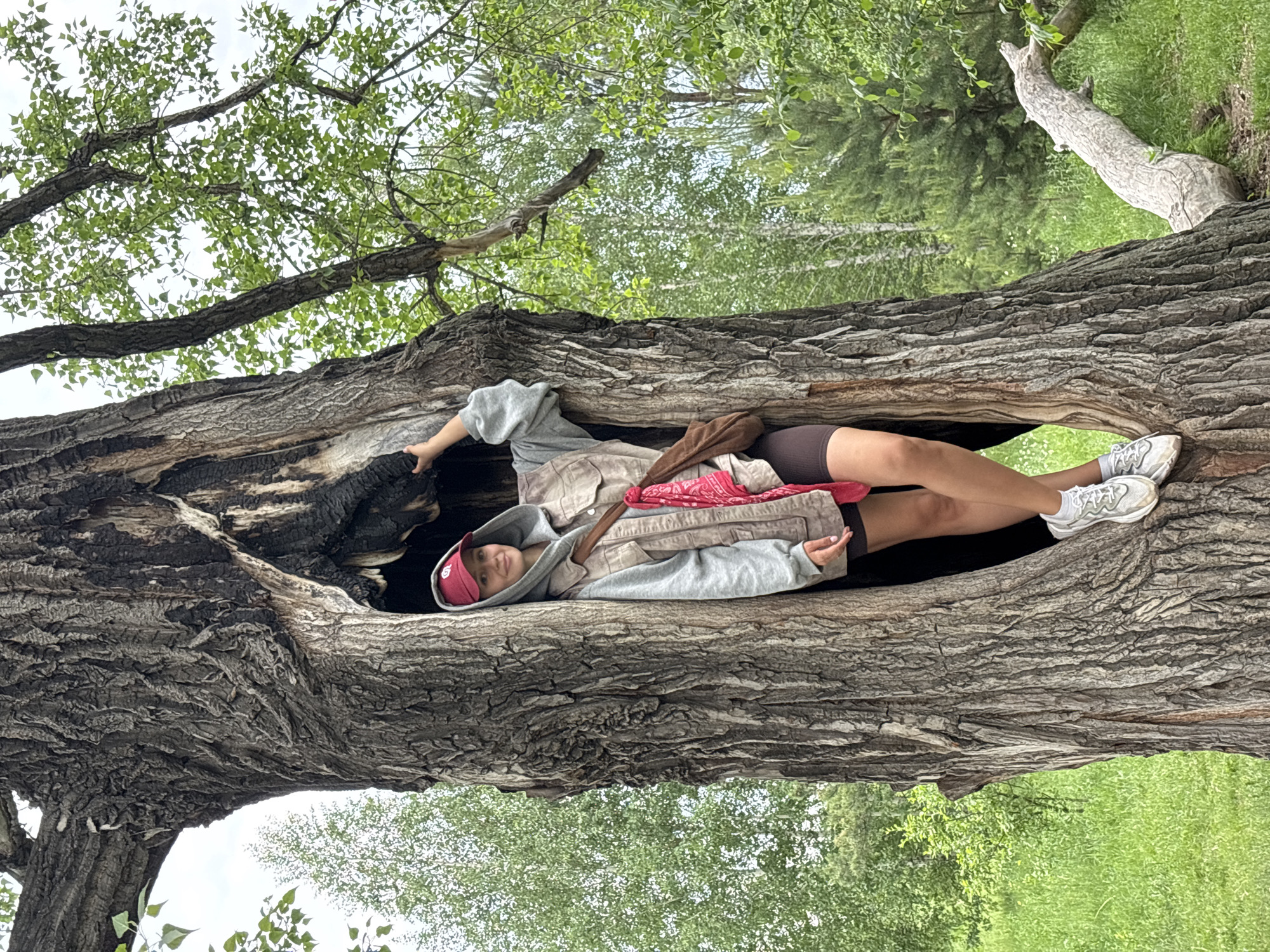 Woman poses inside hollow tree in Krasnoyarsk