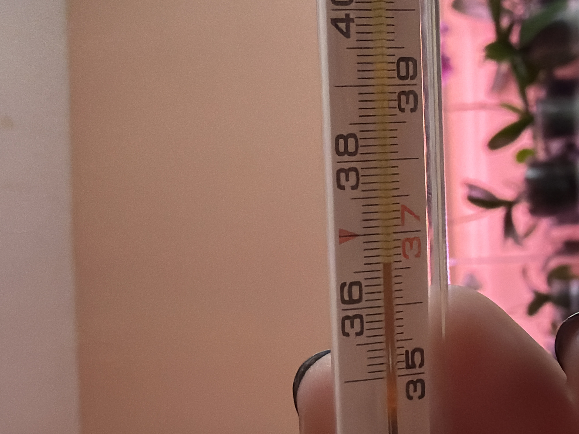 Temperature check and medication moment recorded in Chaikovsky