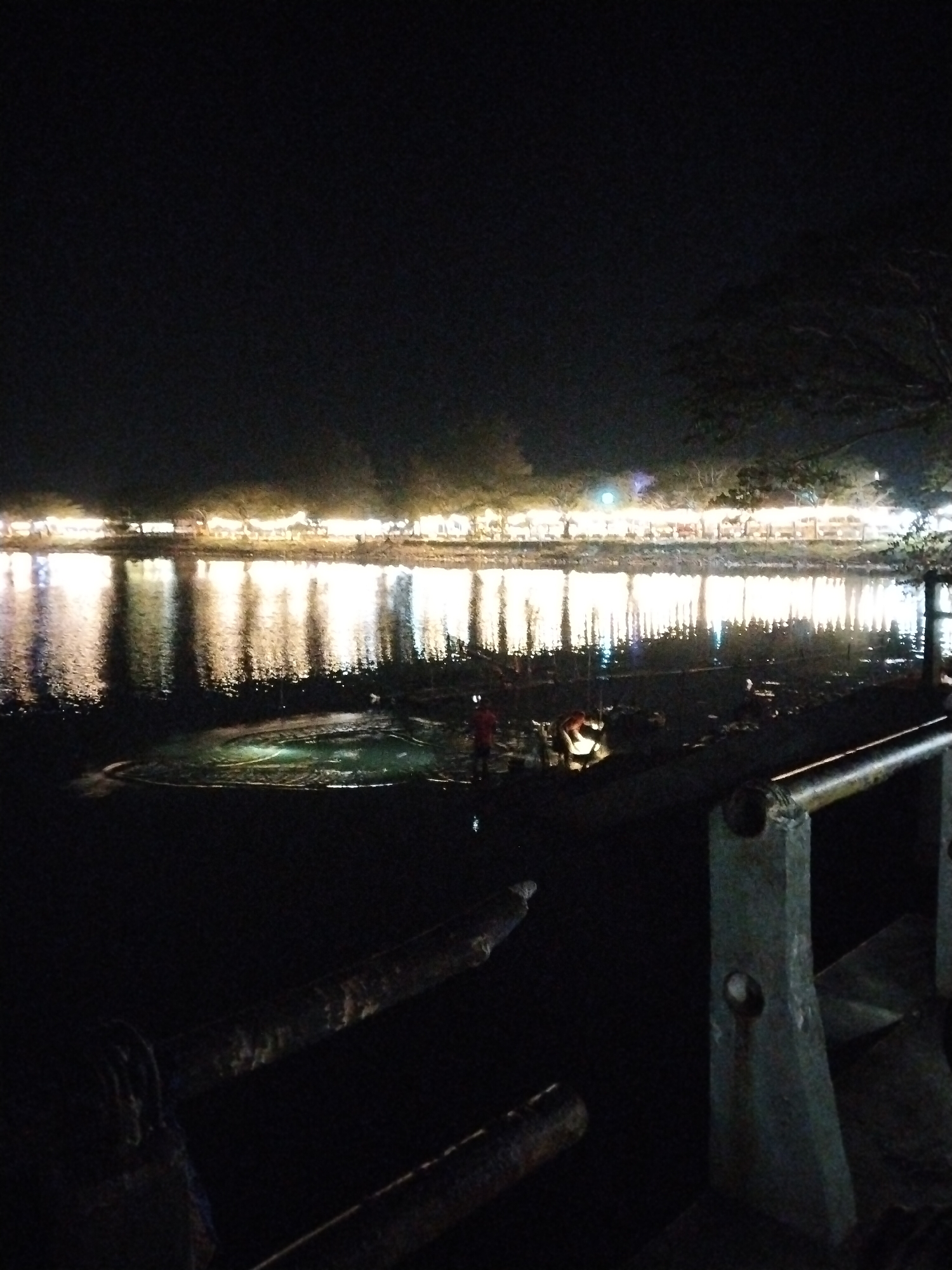 Illuminated waterfront trees observed in Lhokseumawe, Indonesia