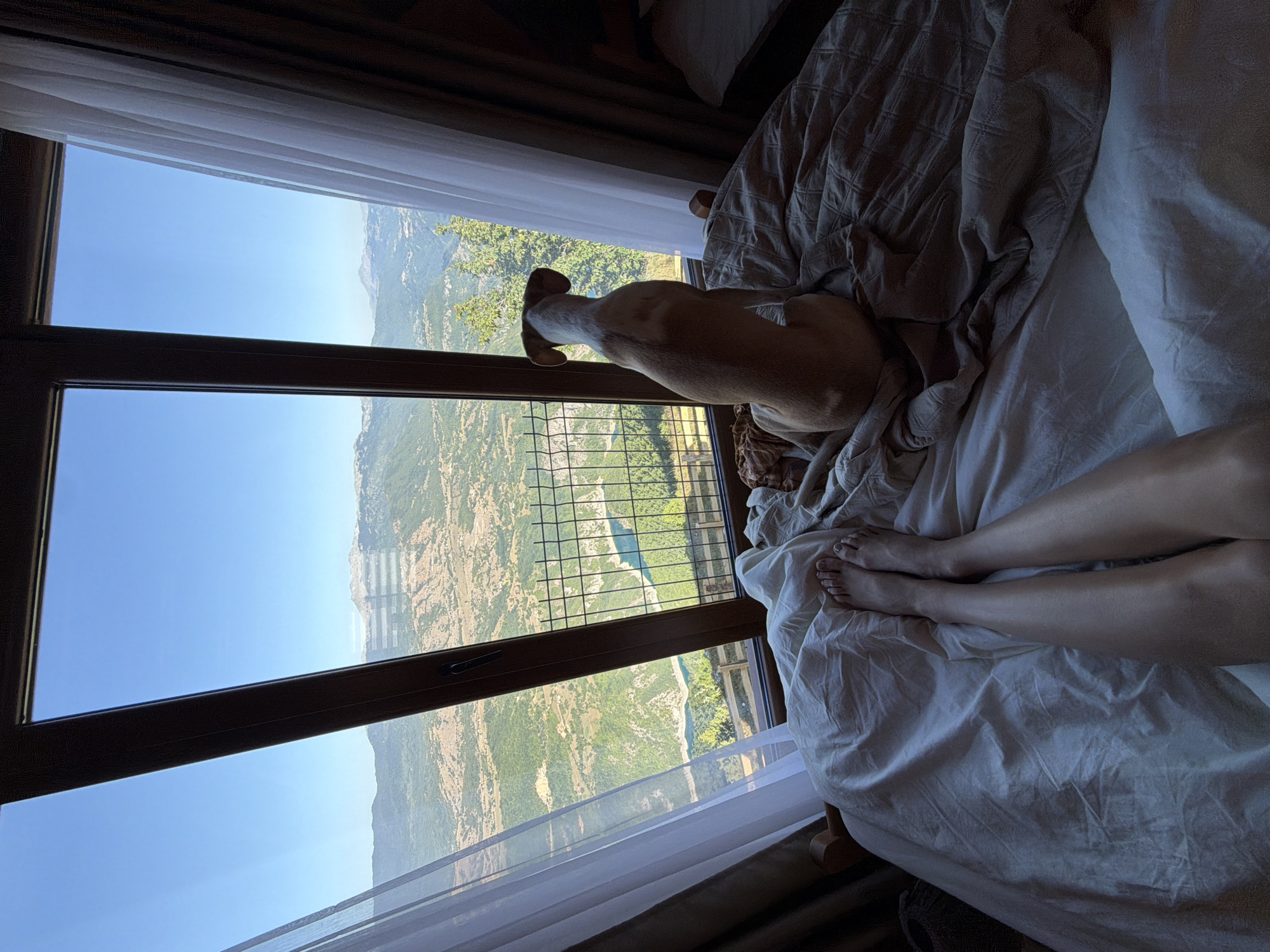 Dog and person share a mountain view from bed, Montenegro