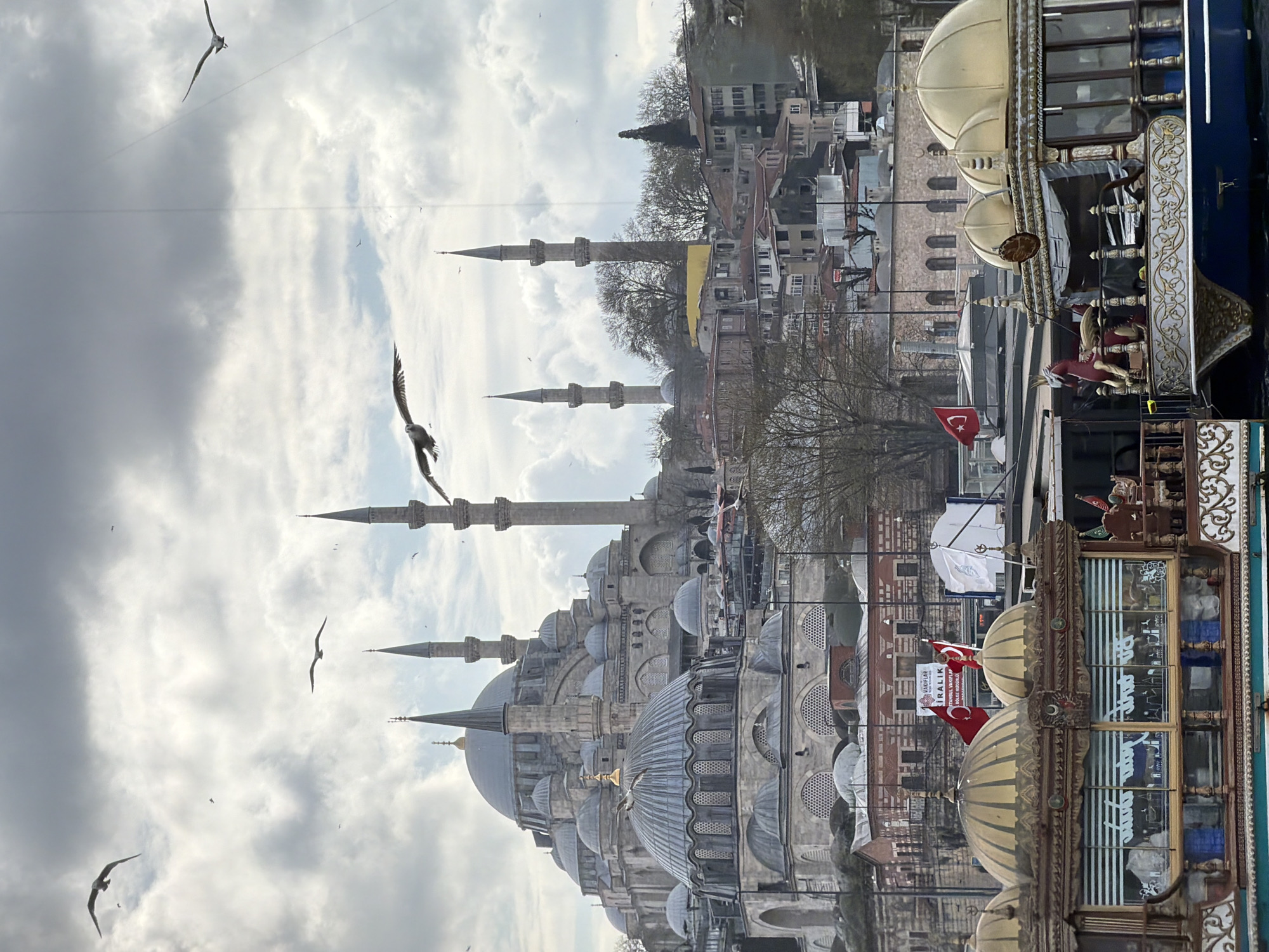 Istanbul residents document birds, landmarks, fishing during afternoon hours