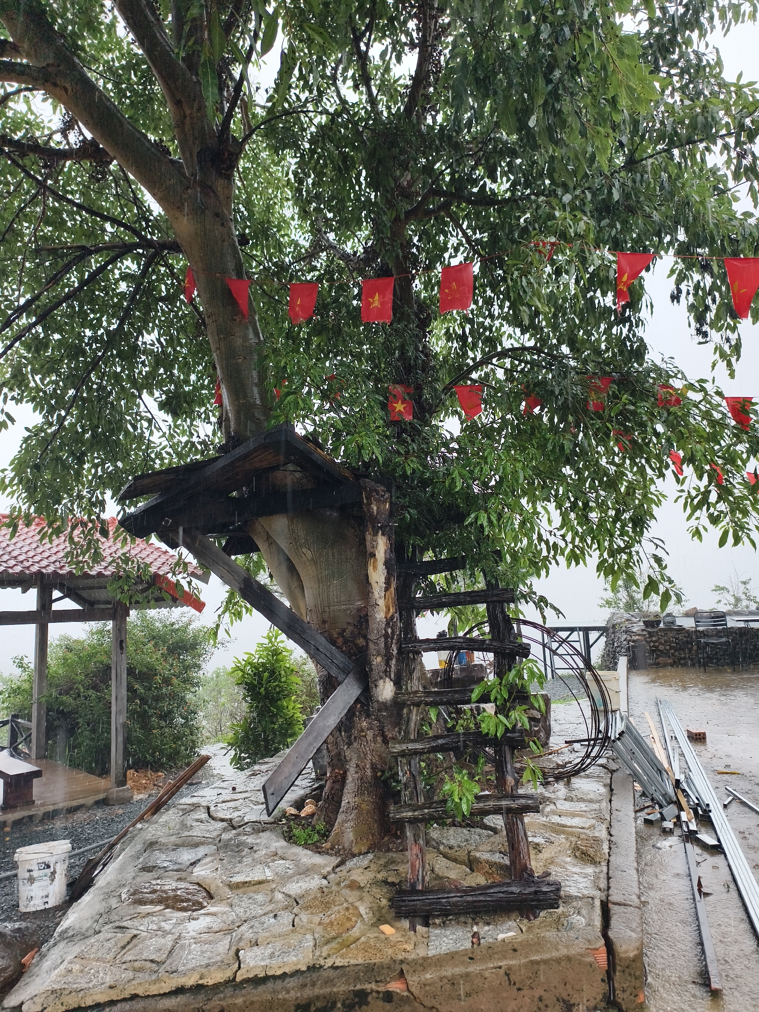 Rainstorm transforms outdoor pool area with treehouse into misty scene
