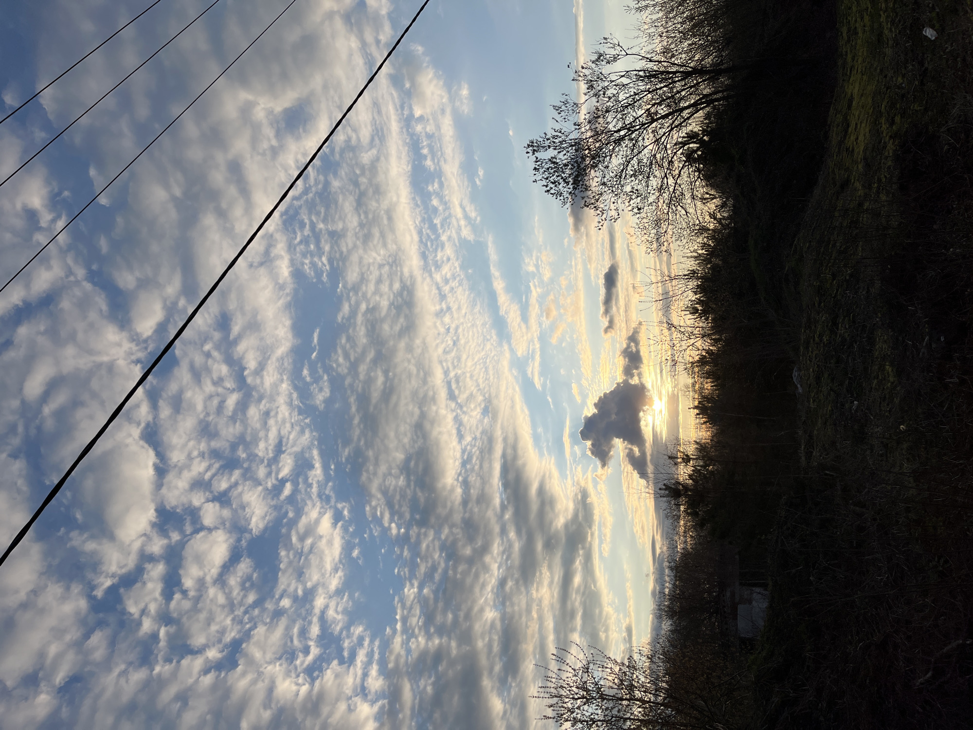 Afternoon moments captured in Russian countryside, Раздолье
