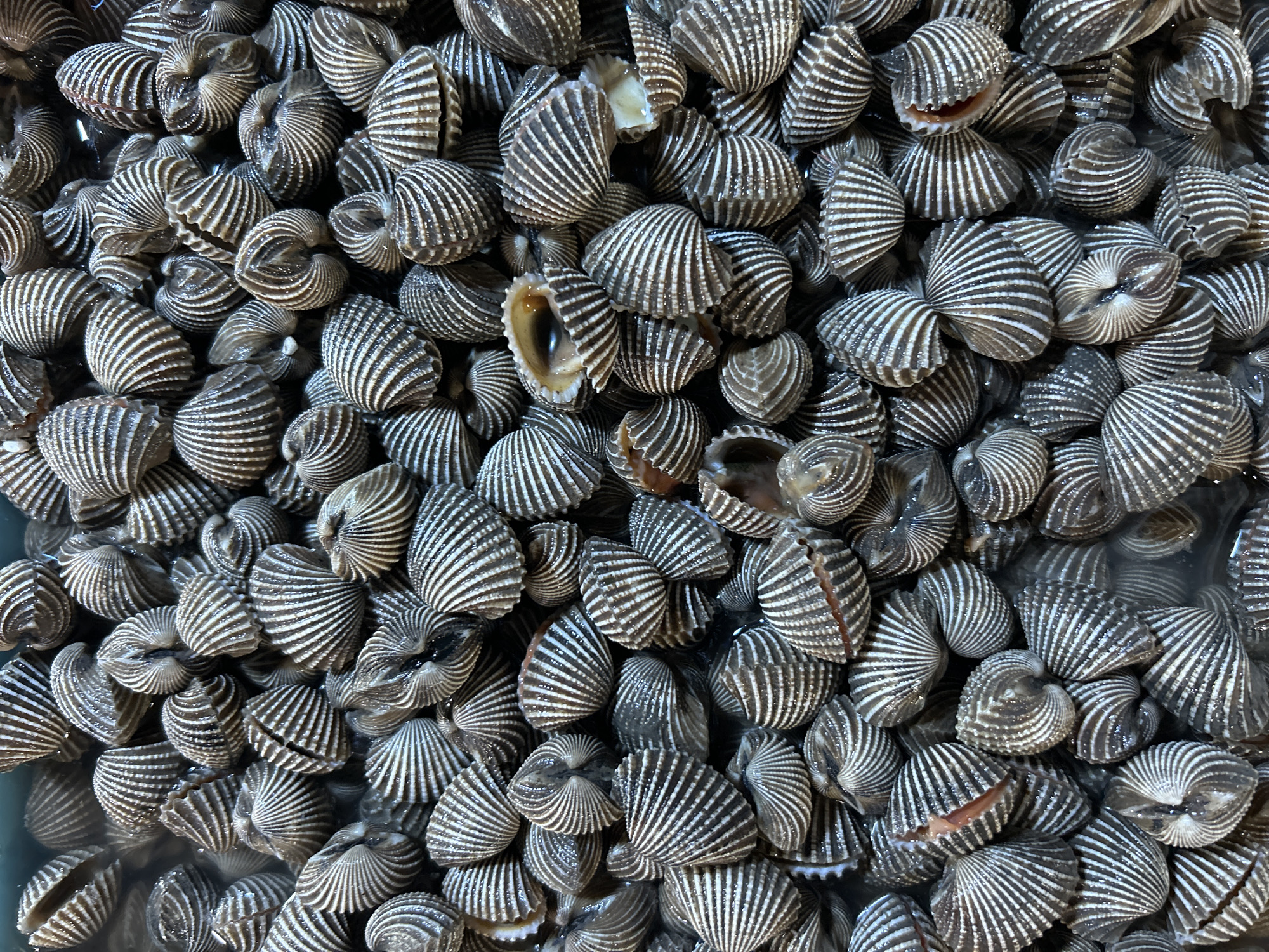 Inside a busy Kuta seafood market, live and fresh catch on display