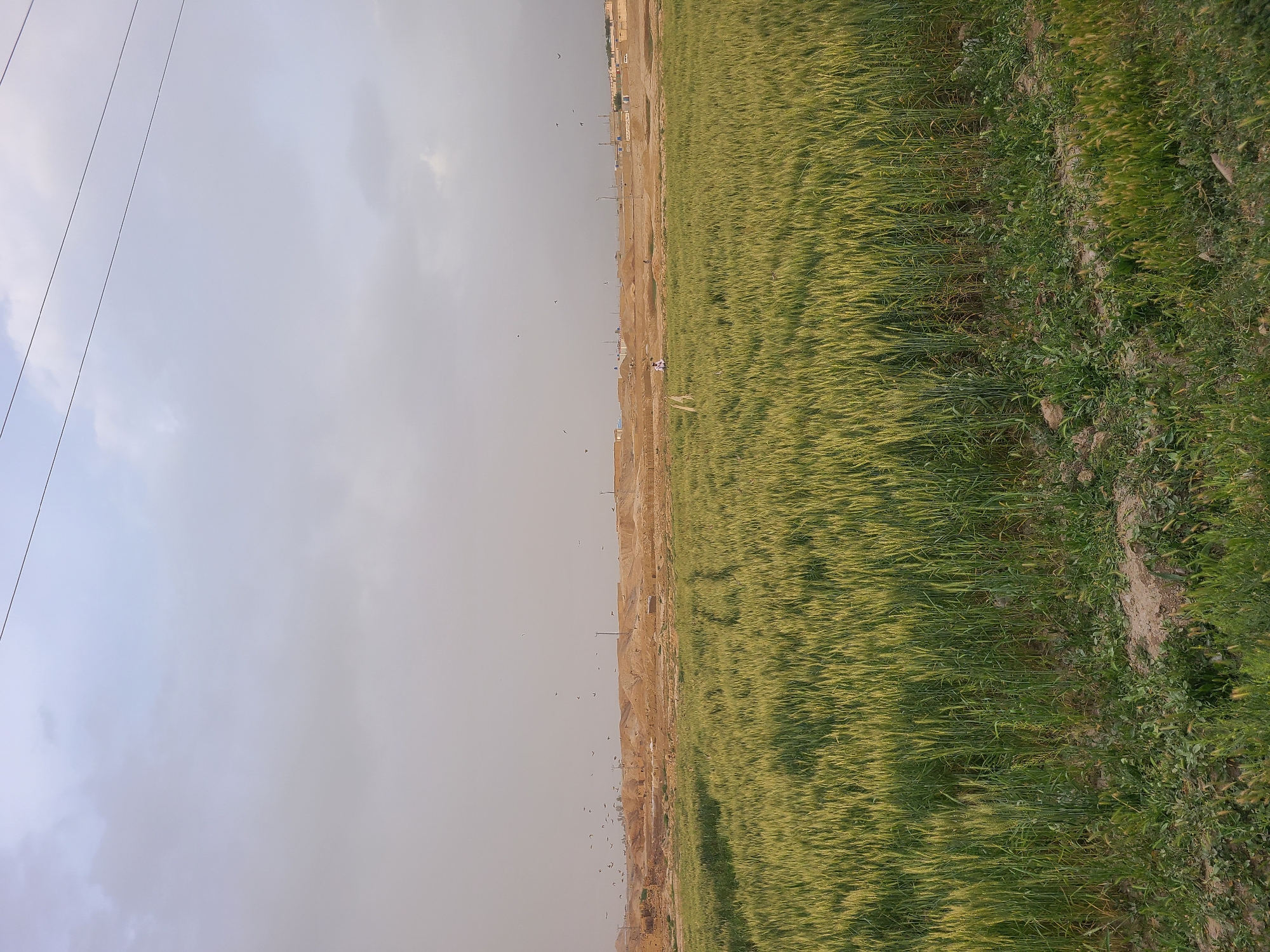 Rural Pakistan landscape documented in brief photographic sequence