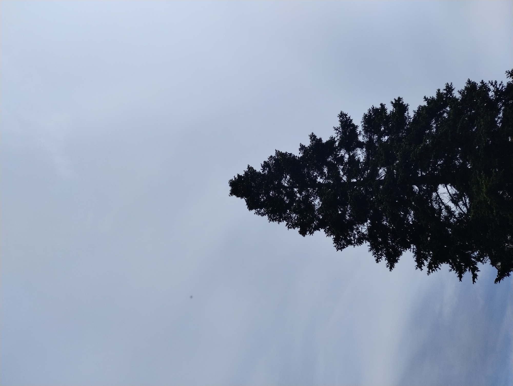 Afternoon walk documented through Yambol's parks and recreation areas