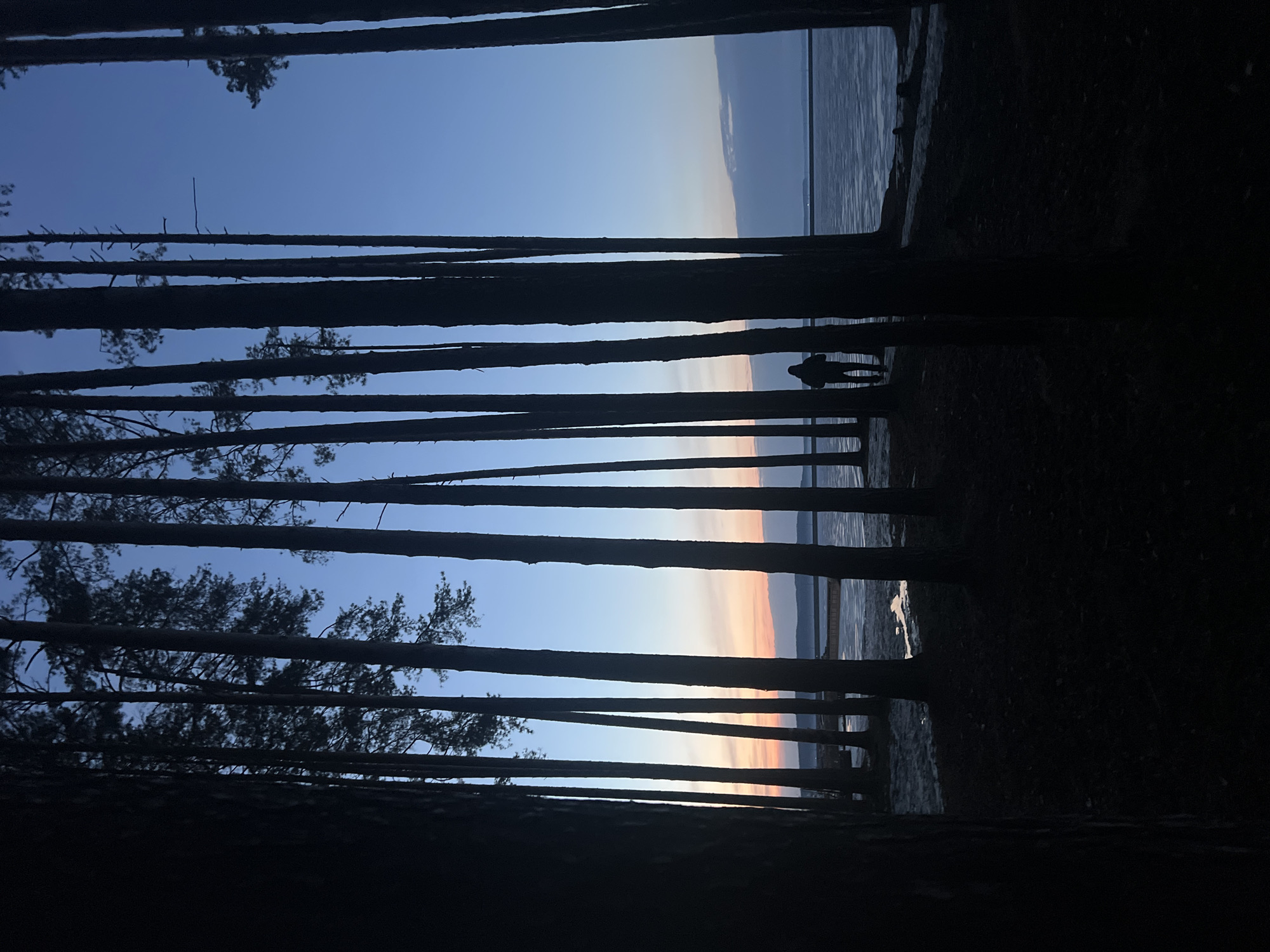 Daily life moments captured across Chaikovsky, Russia afternoon