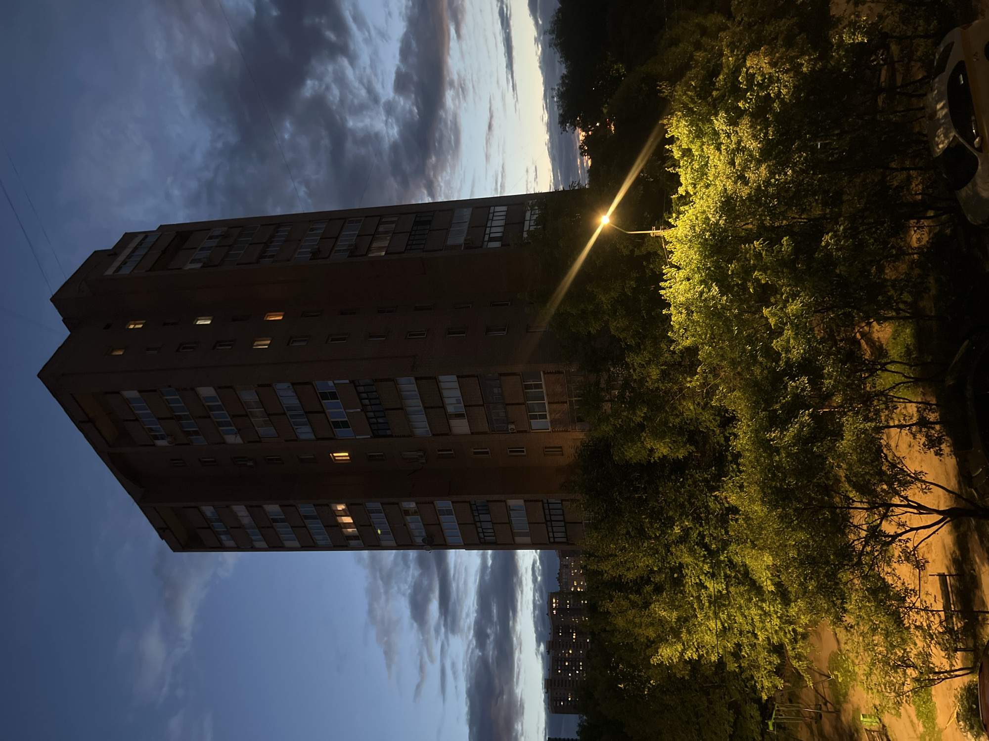 Dusk to night in Pushkino: apartments, pets, and a park