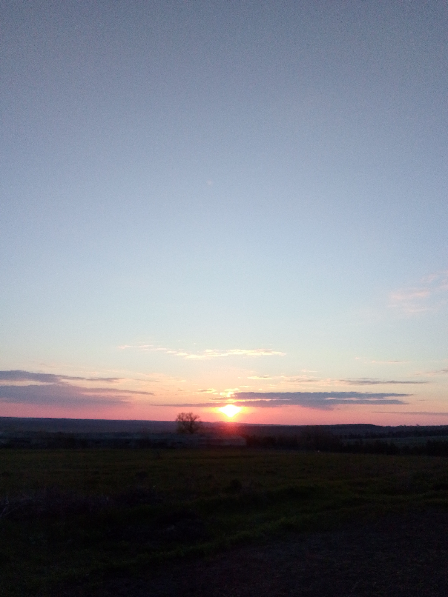 Sunset and black cat documented in Khlevnoye, Russia