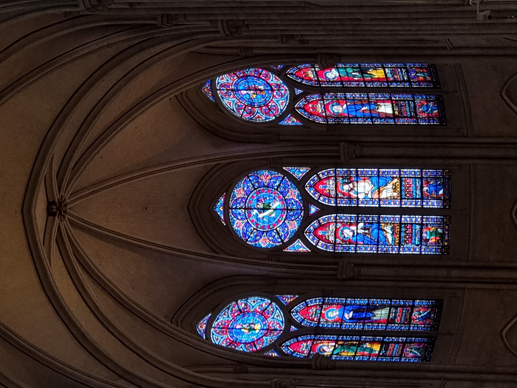 Visitor captures Notre Dame's restored Gothic architecture from below