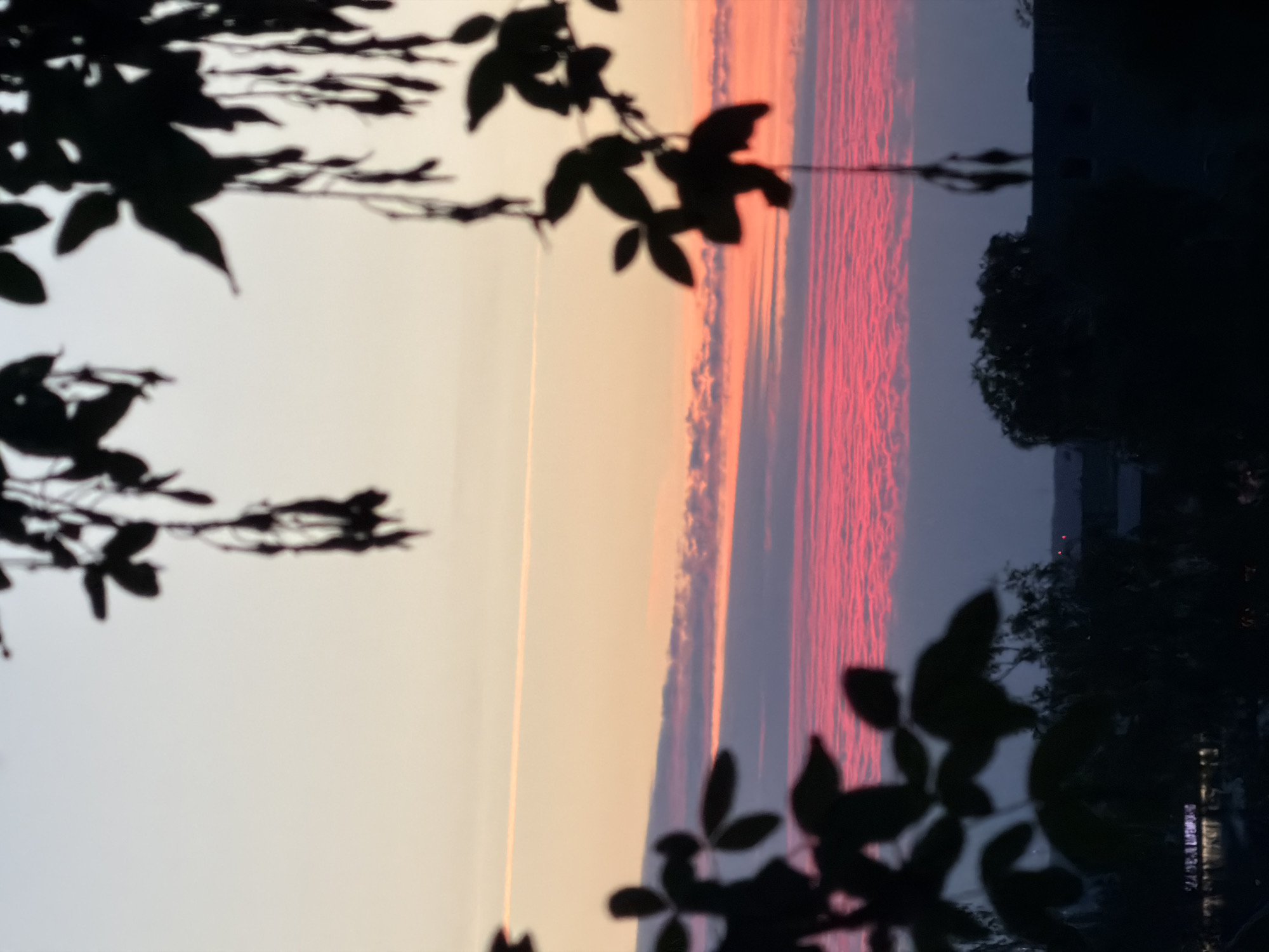 Sunset over Leudelange, trees and sky in fading light