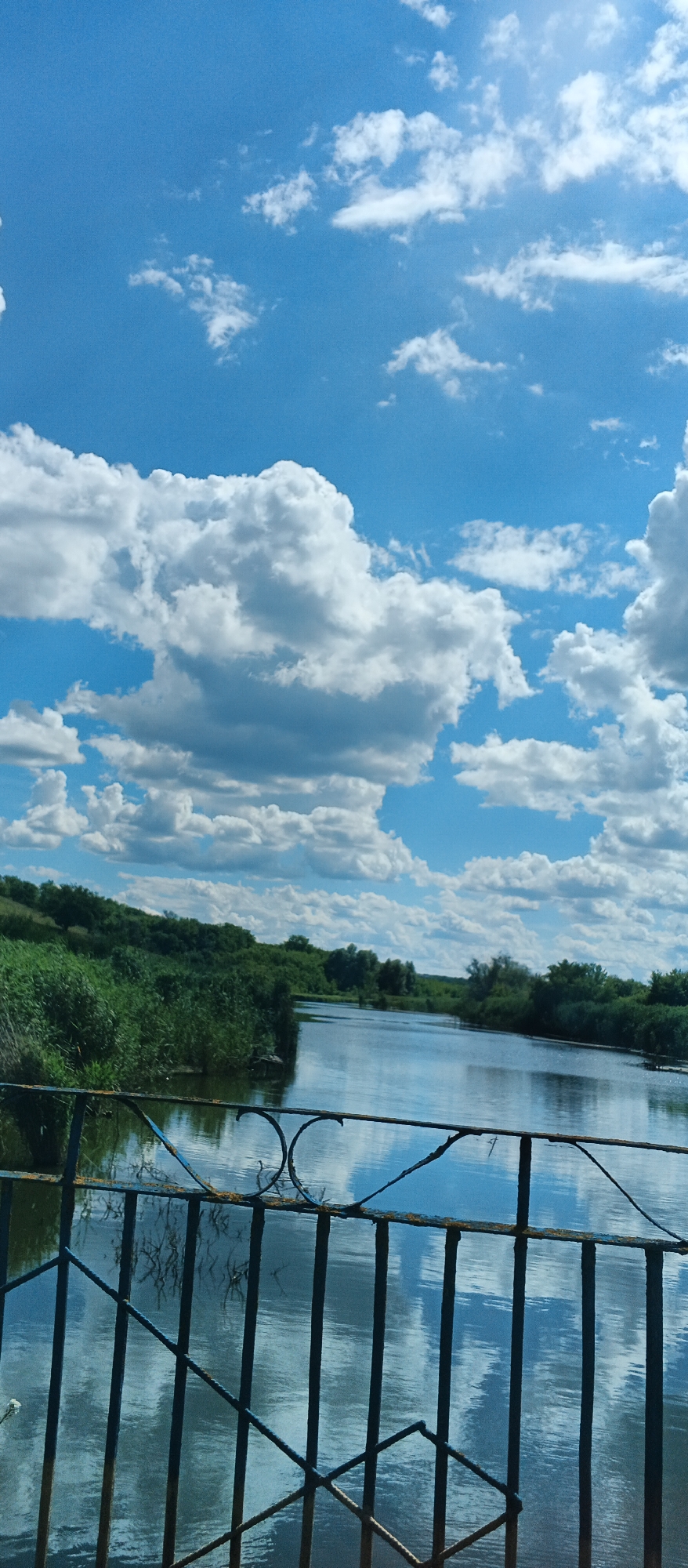 Storks, sheep, and slow roads in small-town Ukraine