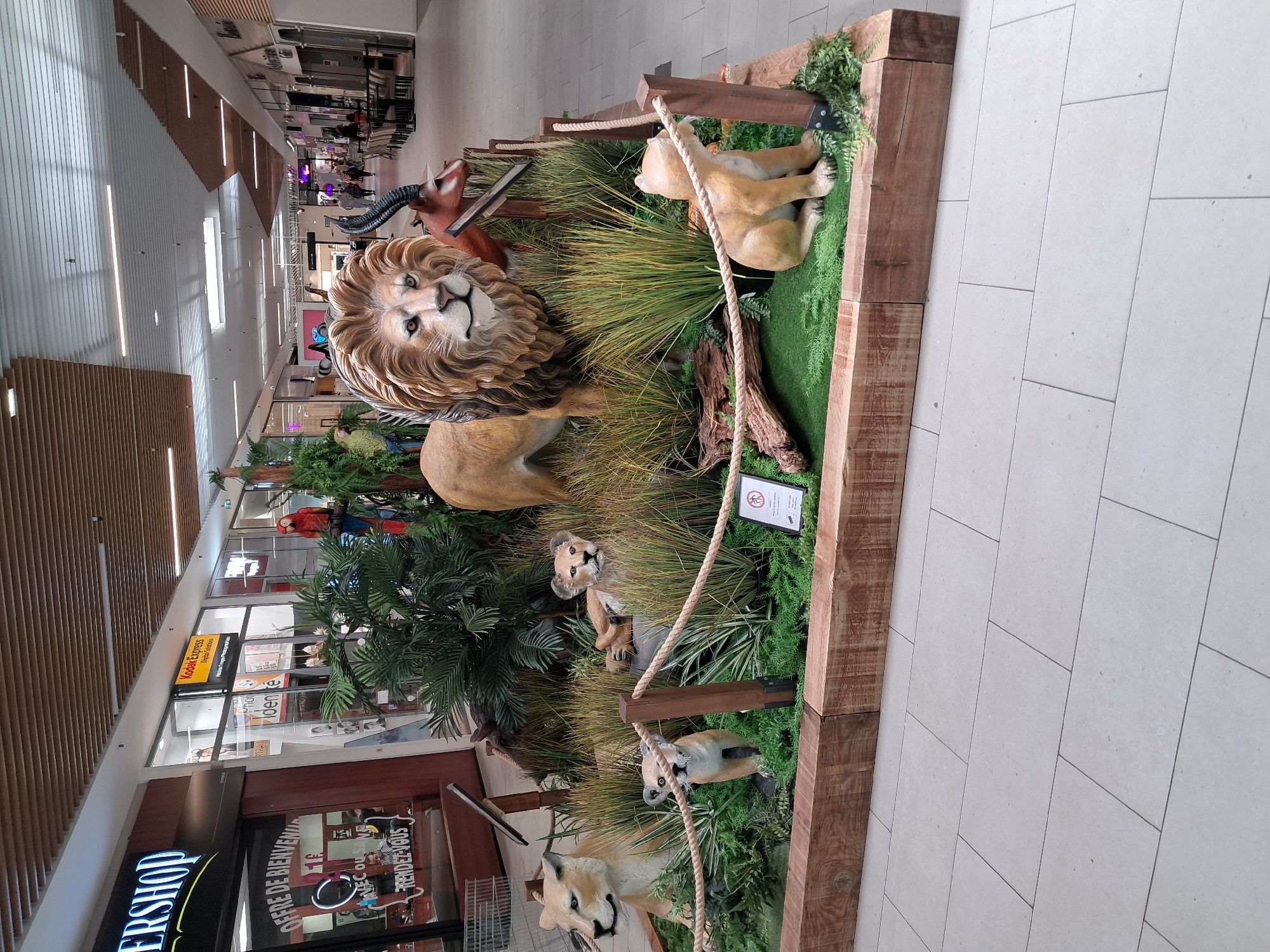 African wildlife display observed in Caen, France