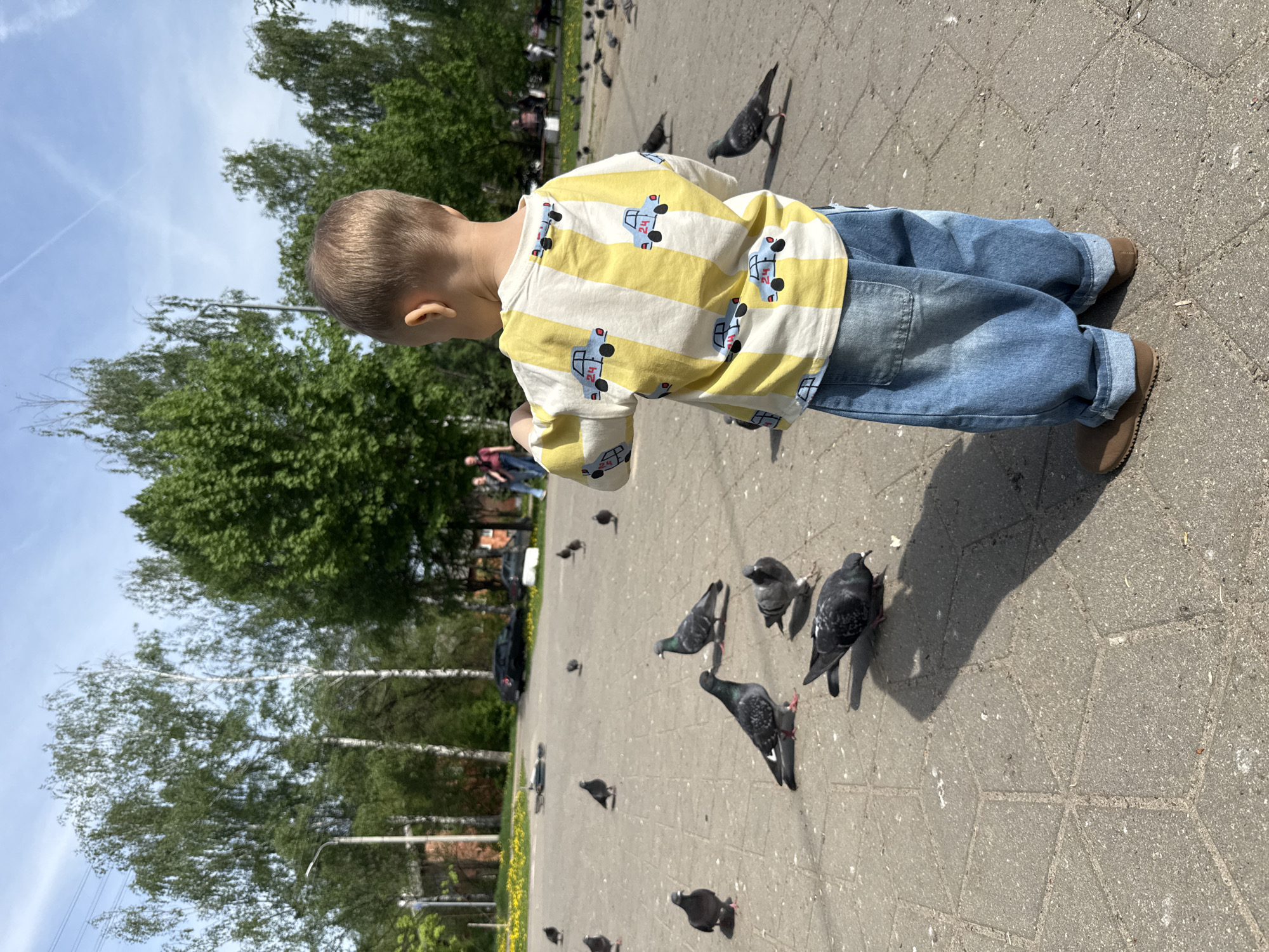 Child feeds pigeons with bread in public square