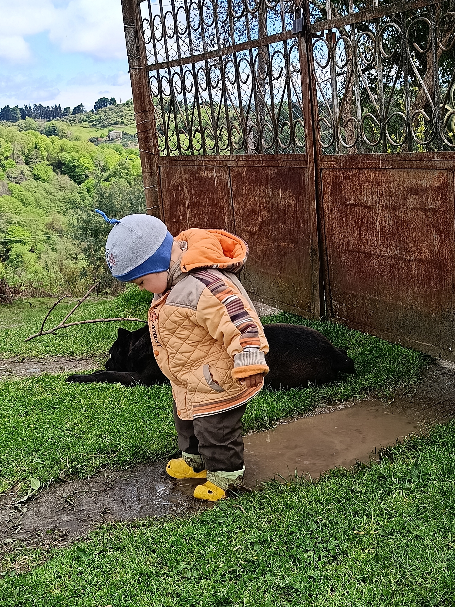 Child and dog spotted in rural Abkhazia, flower photographed