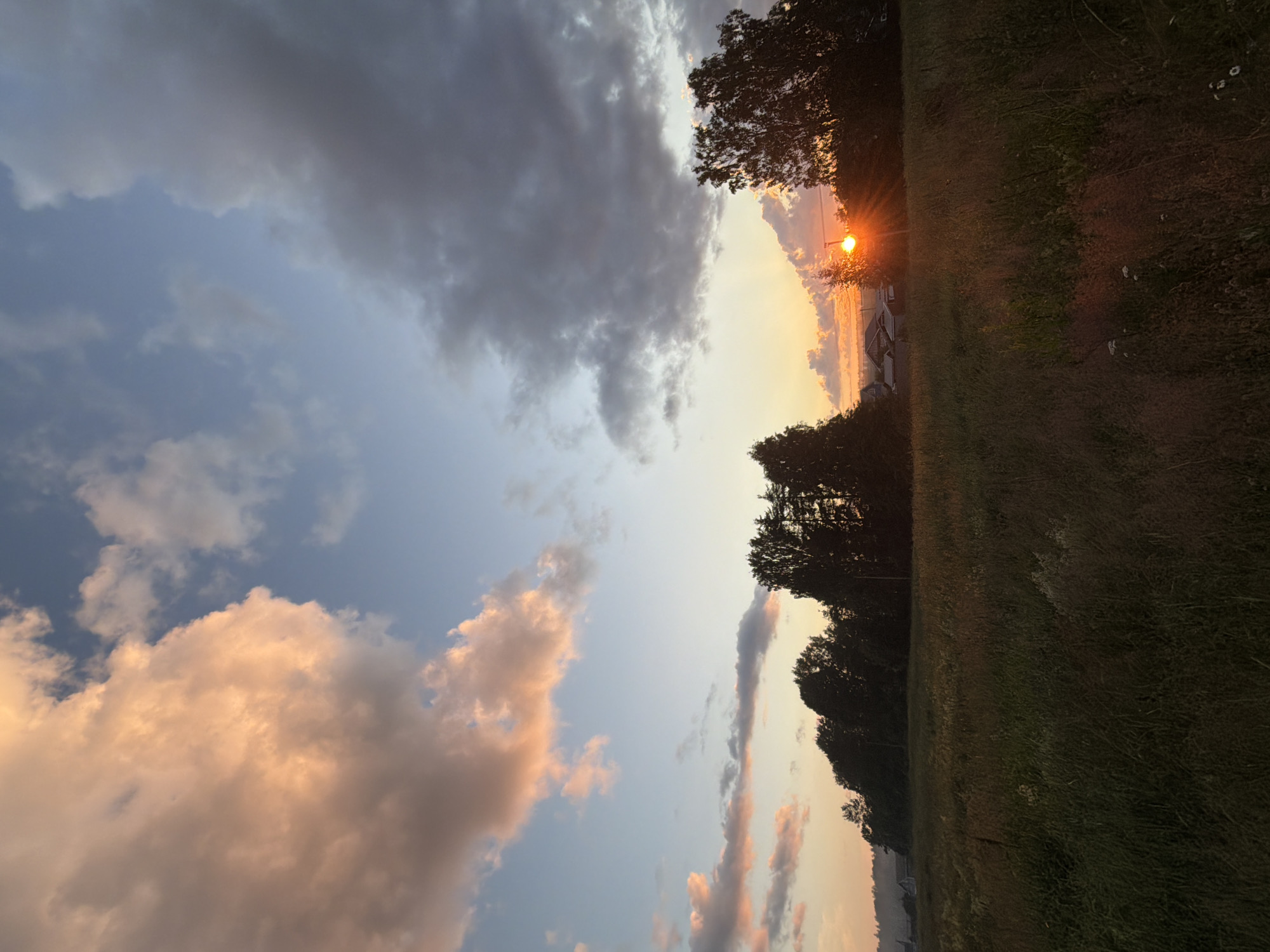 Golden hour over rural Russia: fields, clouds, and a cat