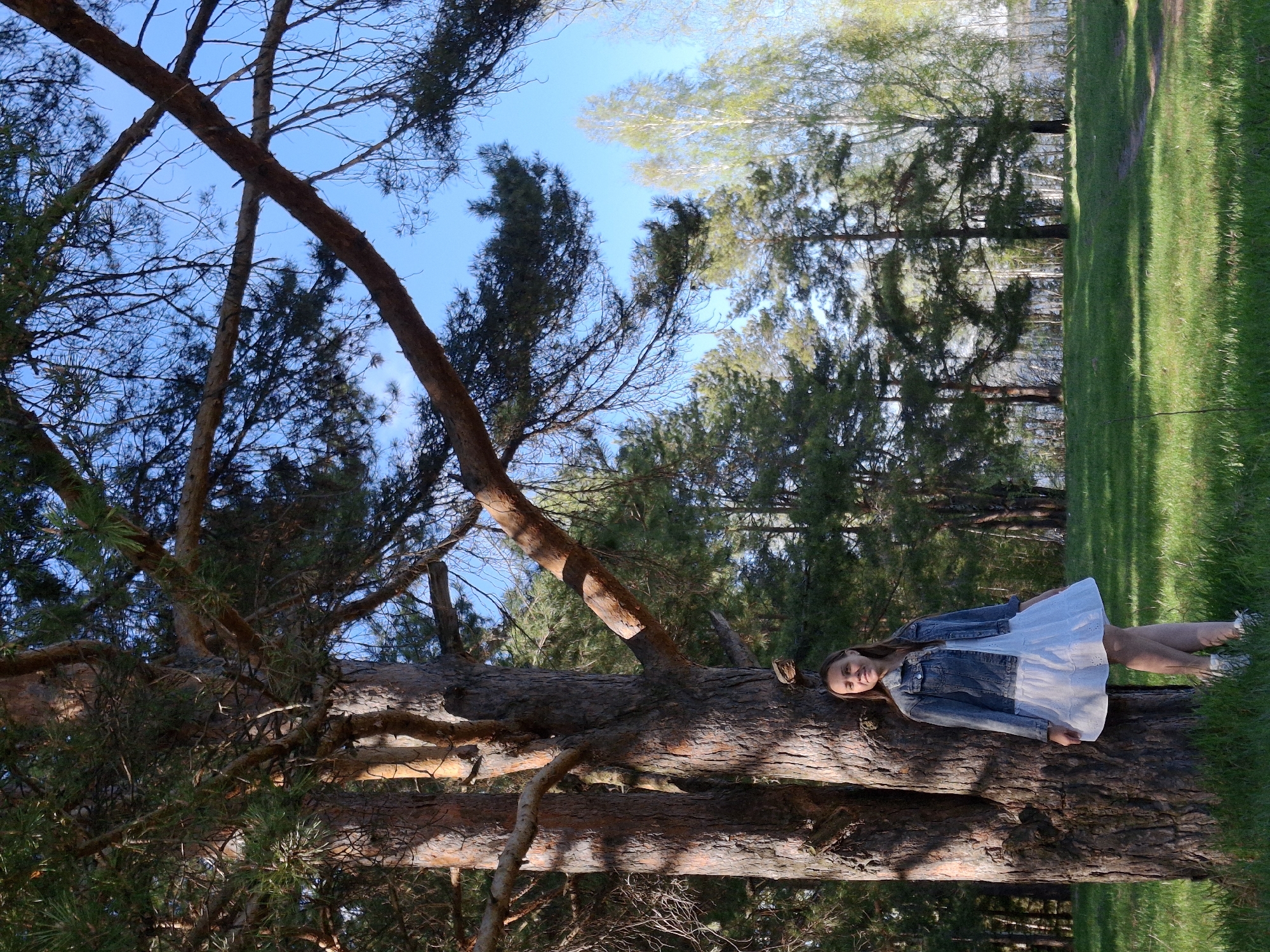 Woman rests peacefully on fallen tree in Chaikovsky park