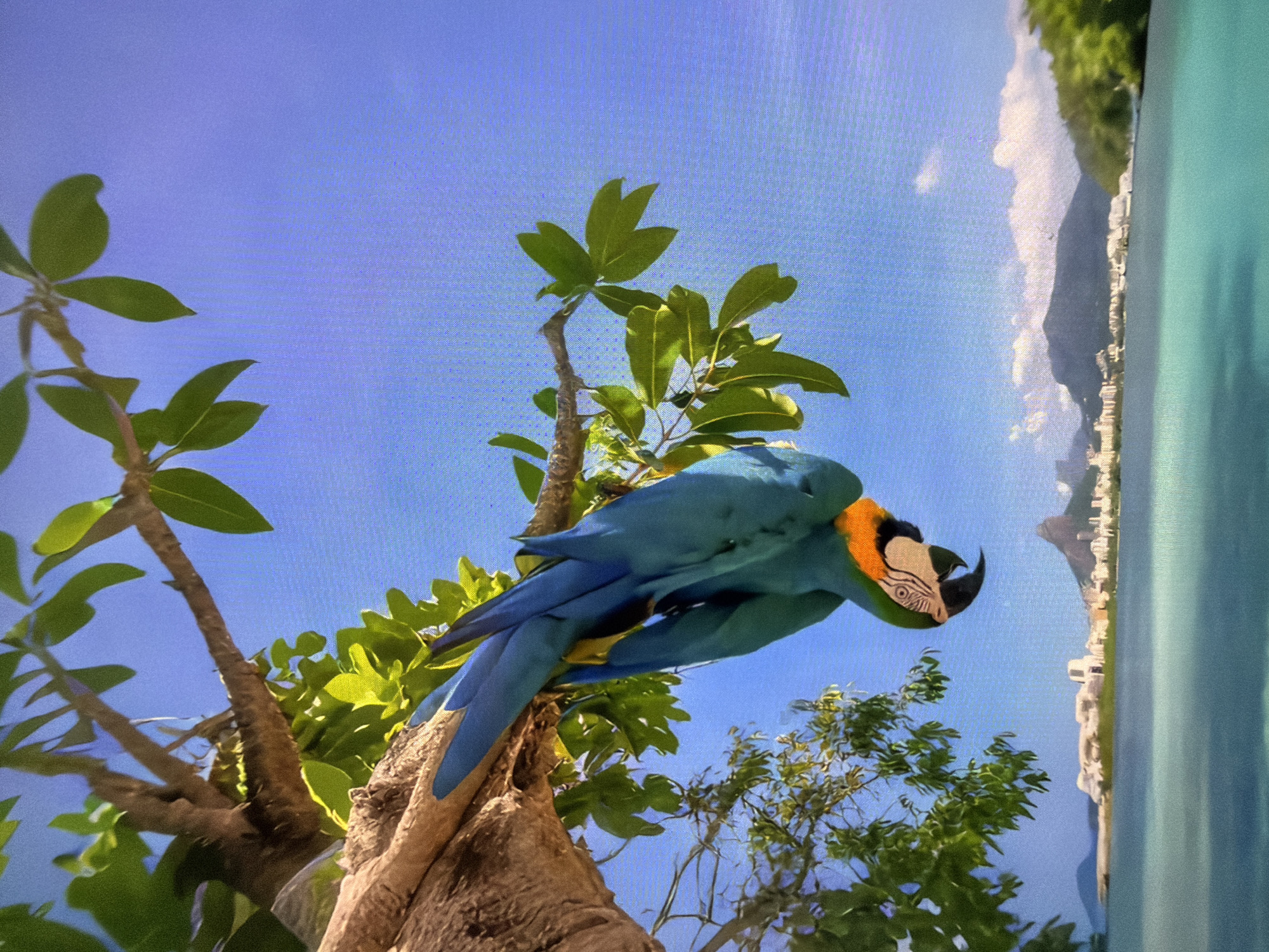 Plovdiv witness documents tropical scenes and exotic wildlife imagery