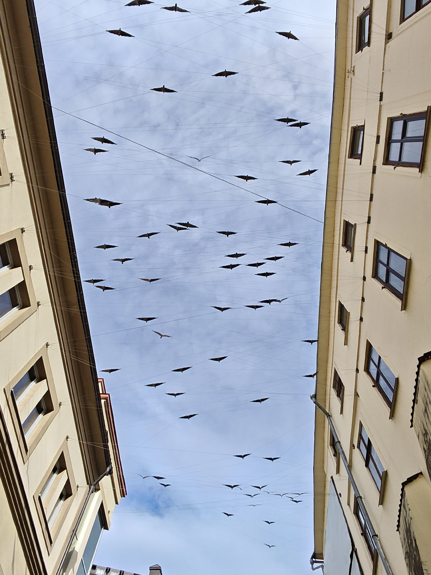 Witness documents Ivano-Frankivsk city center including art installation, City Hall