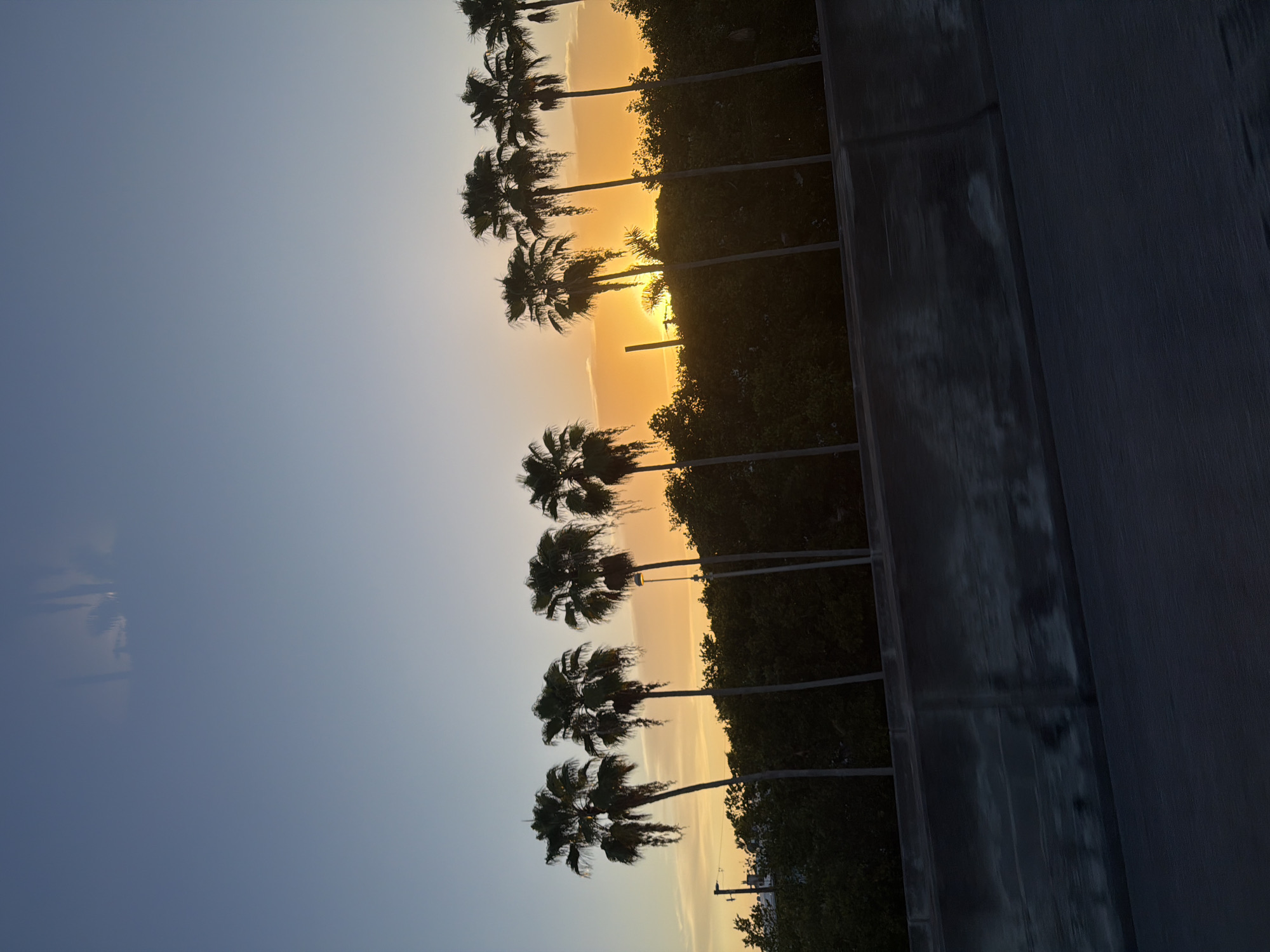Palm tree silhouettes frame a vivid Kendall sunset