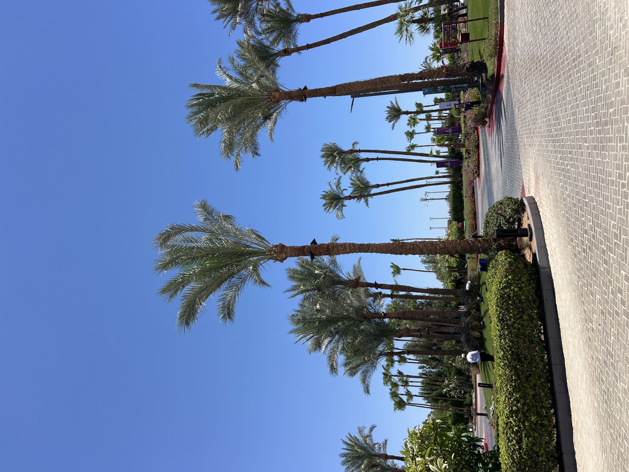 Wandering the grounds of a Sharm El Sheikh resort