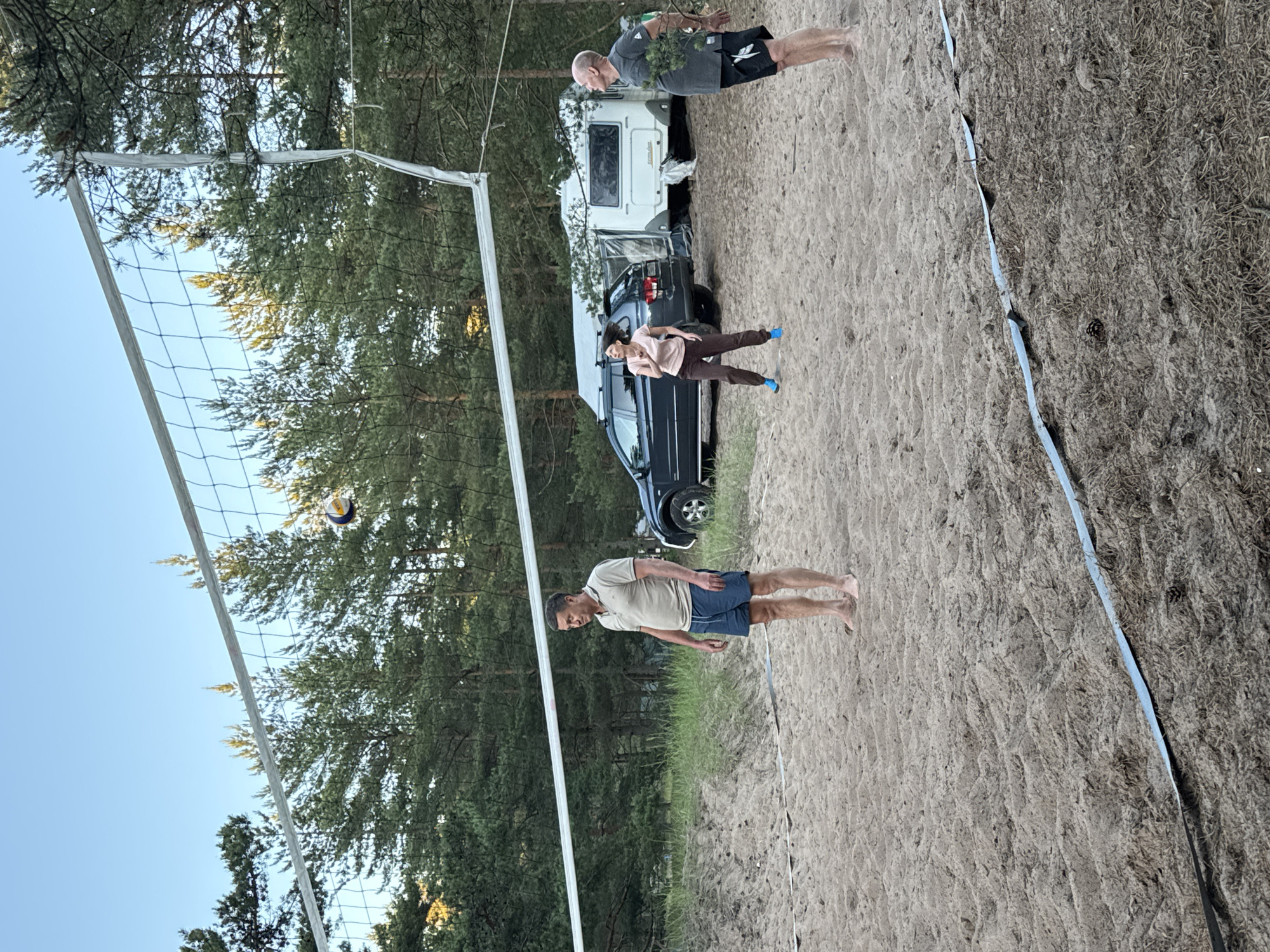 Campsite volleyball and wildflowers in a Russian pine forest