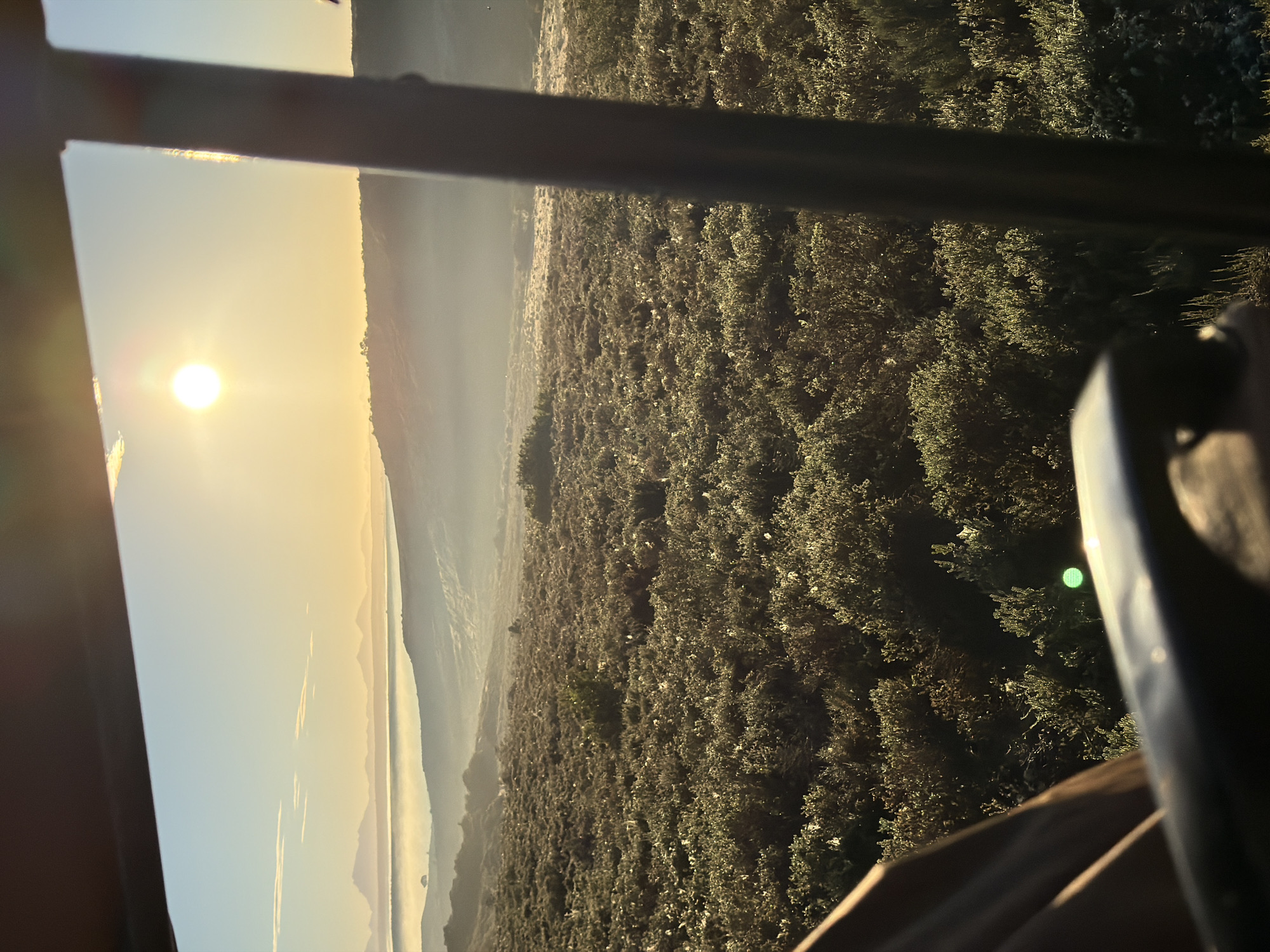 Rhinos spotted grazing at sunrise in South African grasslands