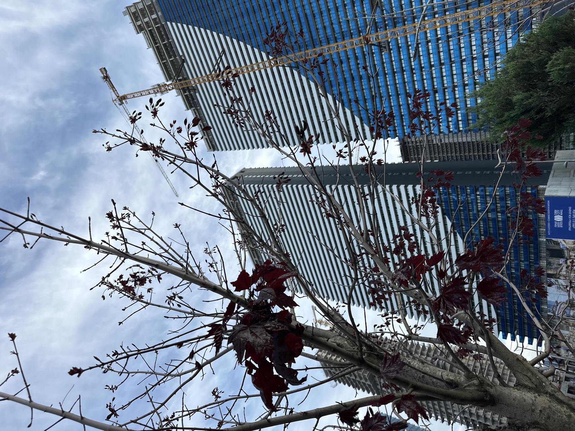 Modern Batumi architecture and streetscapes documented in afternoon photography session
