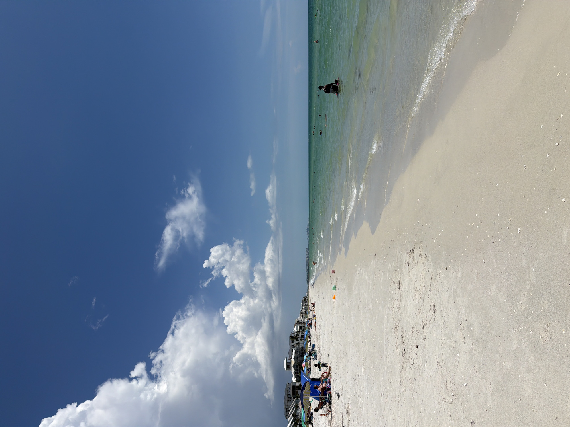 Lazy afternoon at Bonita Beach with a foraging ibis