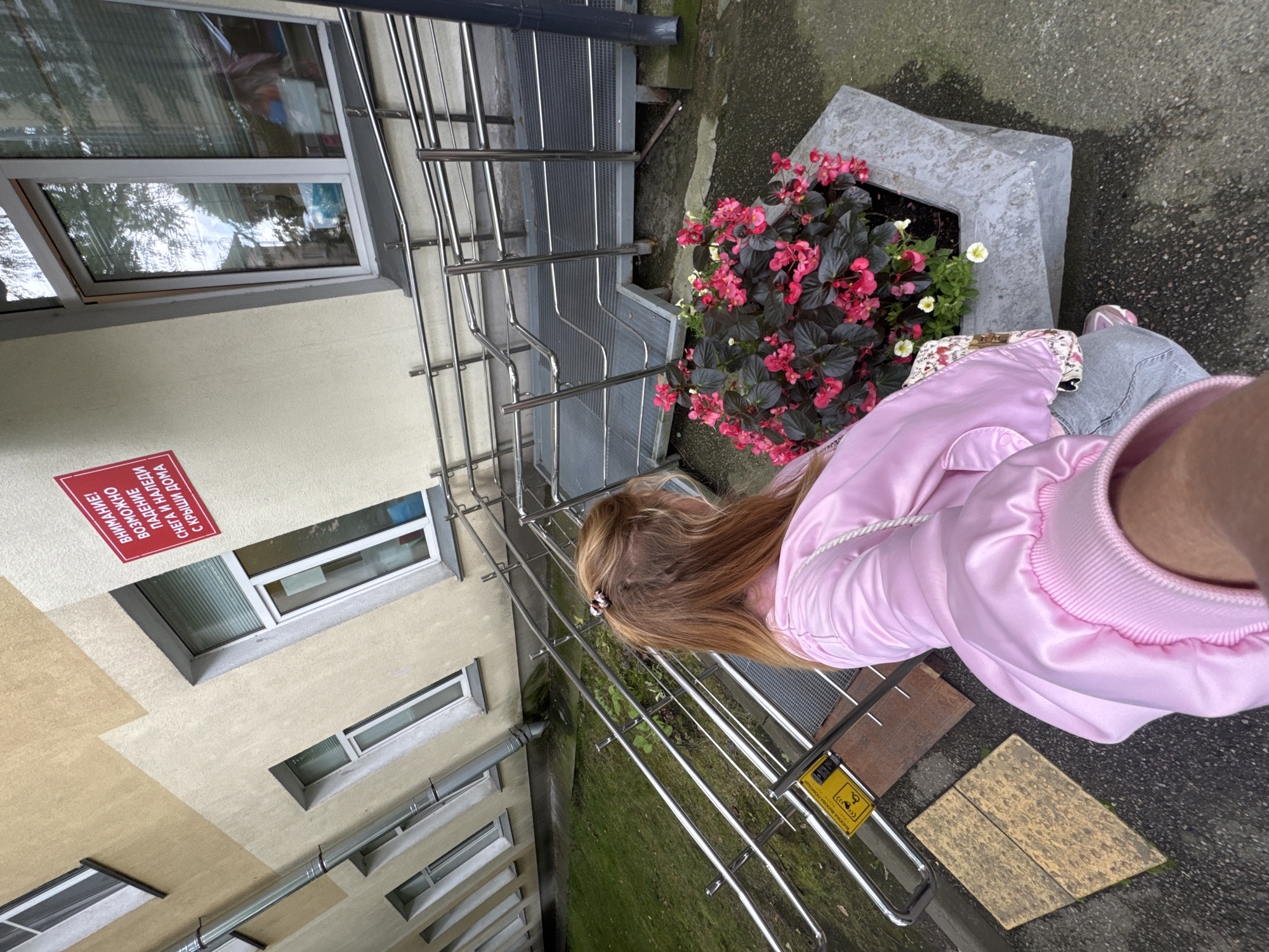 Pink begonias in a concrete planter outside a Saint Petersburg building