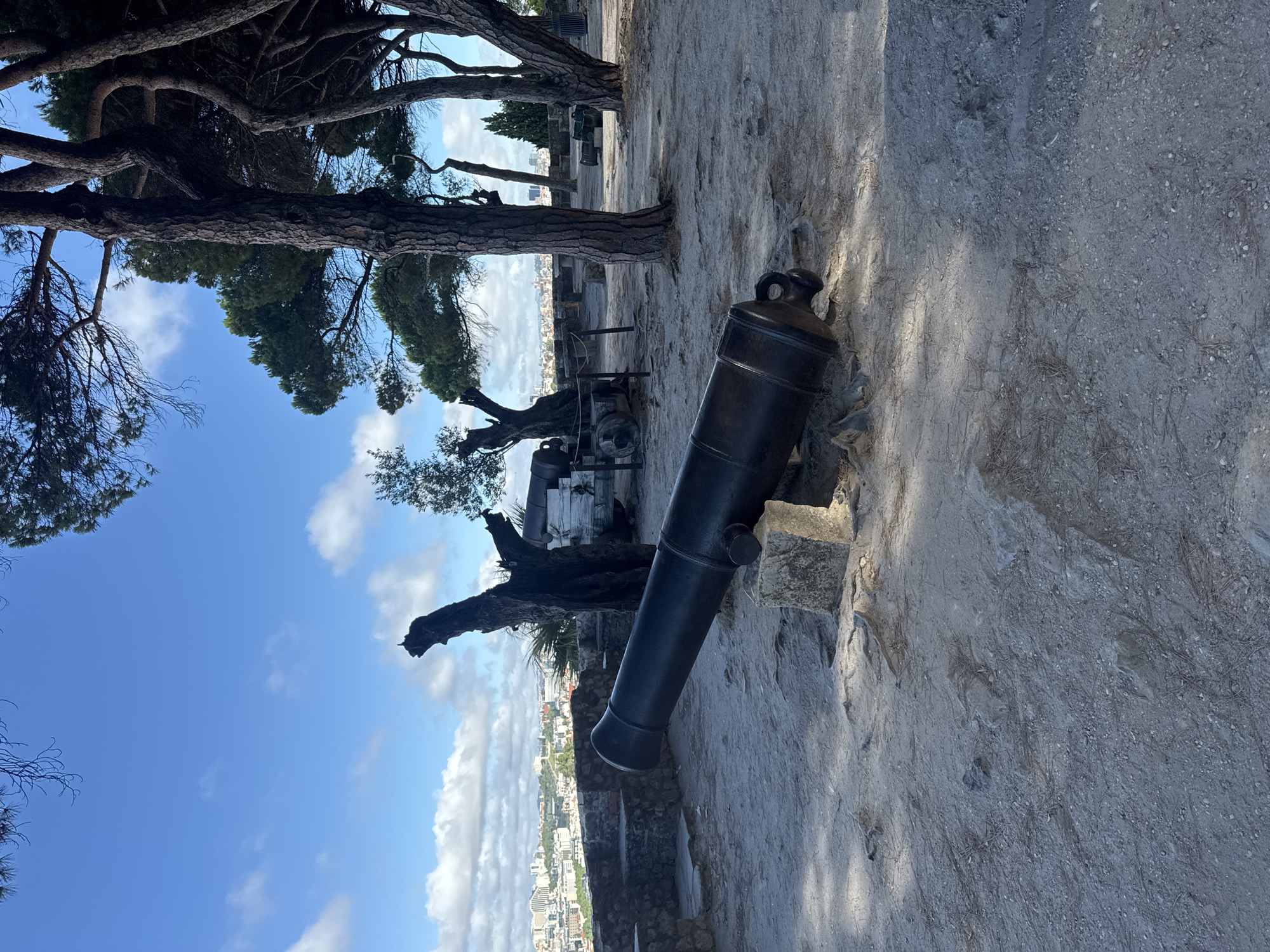Lisbon hilltop fortress: cannons, city views, and peacocks