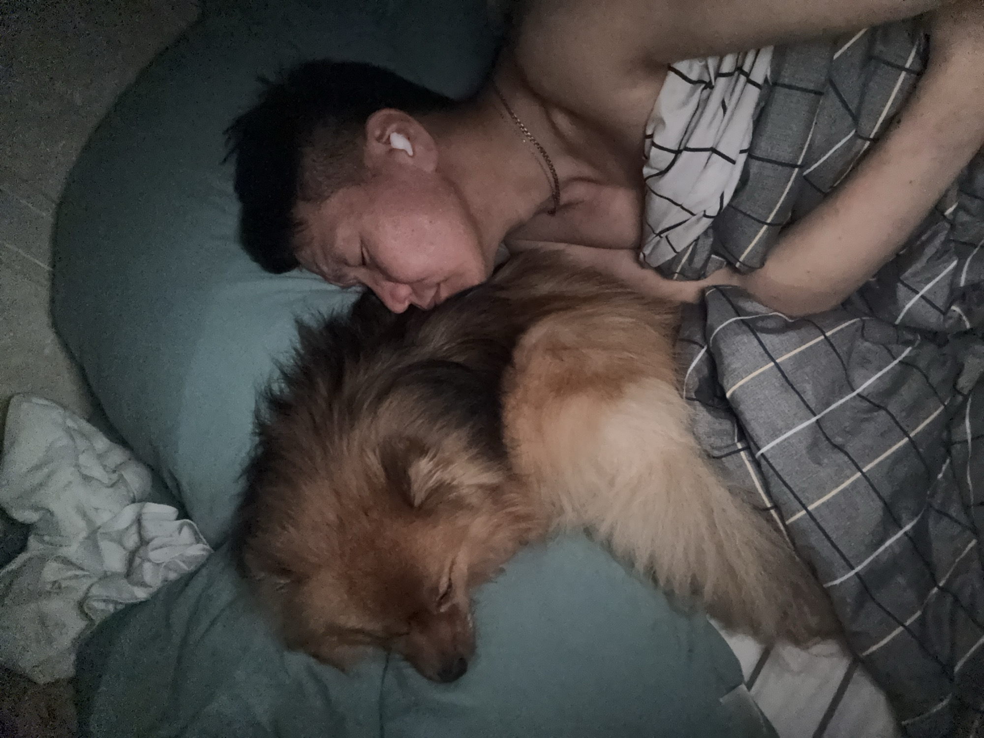 Person and dog sleep peacefully together in Khimki home