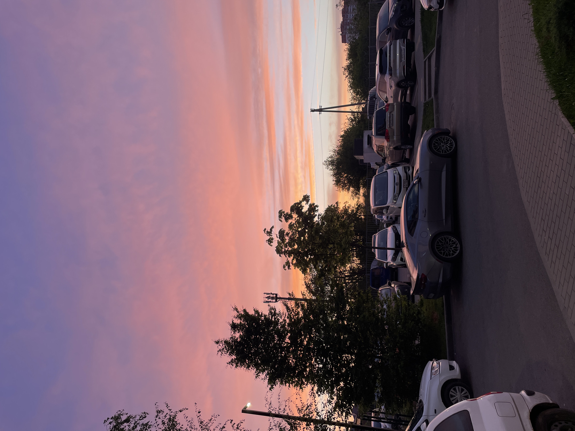 Sunset streets and sleeping cats captured in Krasnodar