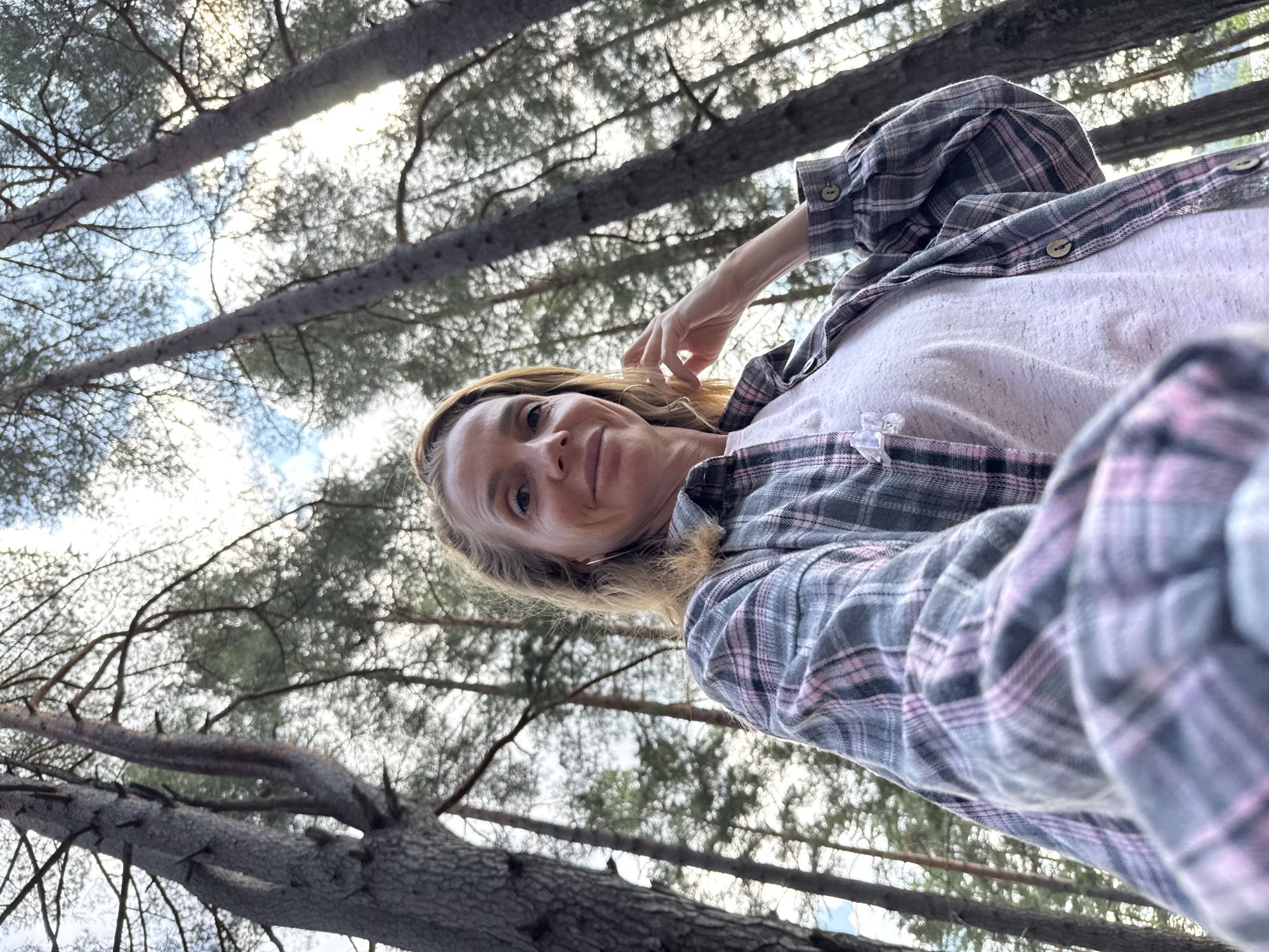 Summer camping by a lake in the Portovoe pinewoods