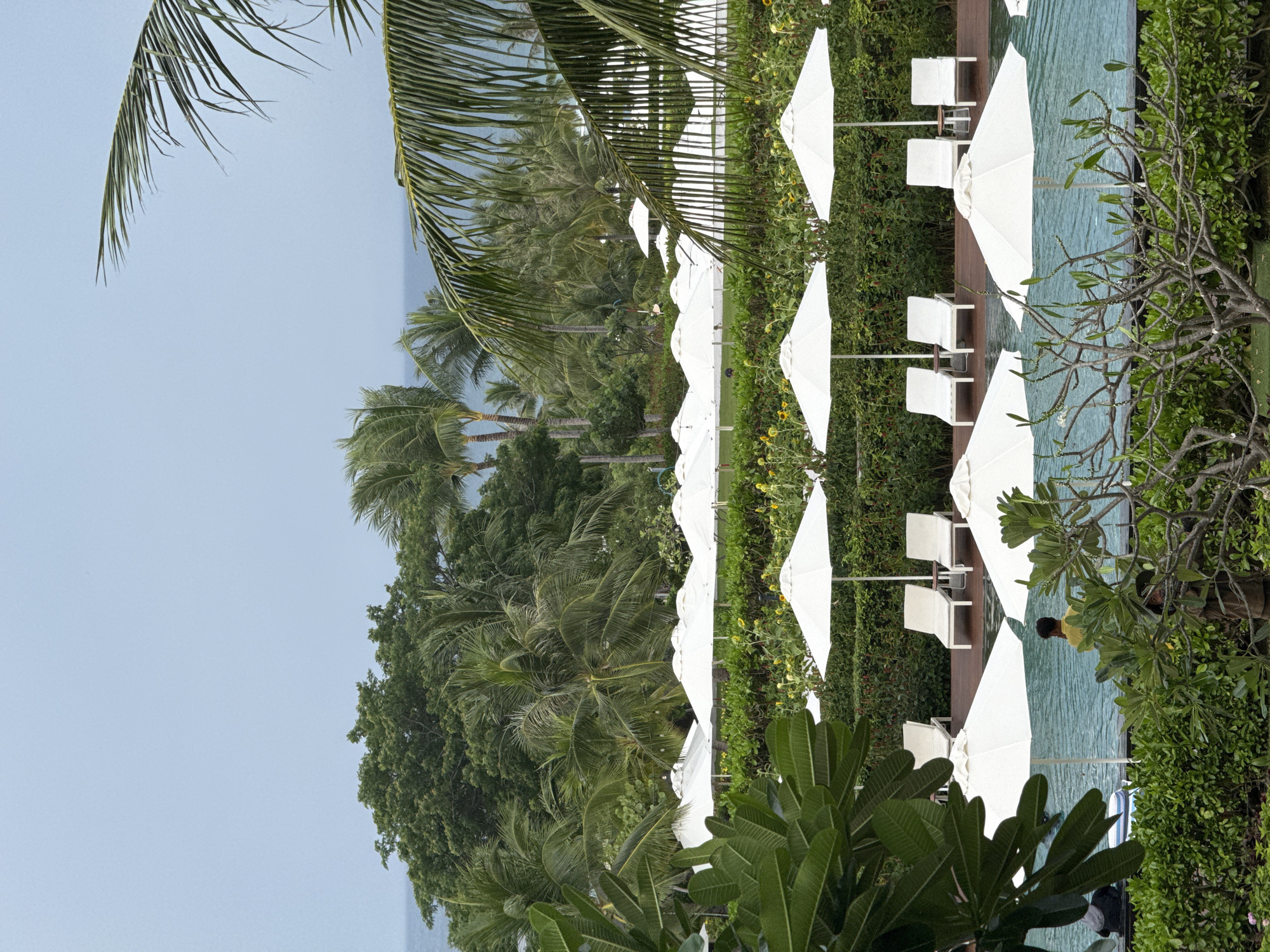 Resort gardens and groundskeeping, Cam Đức morning