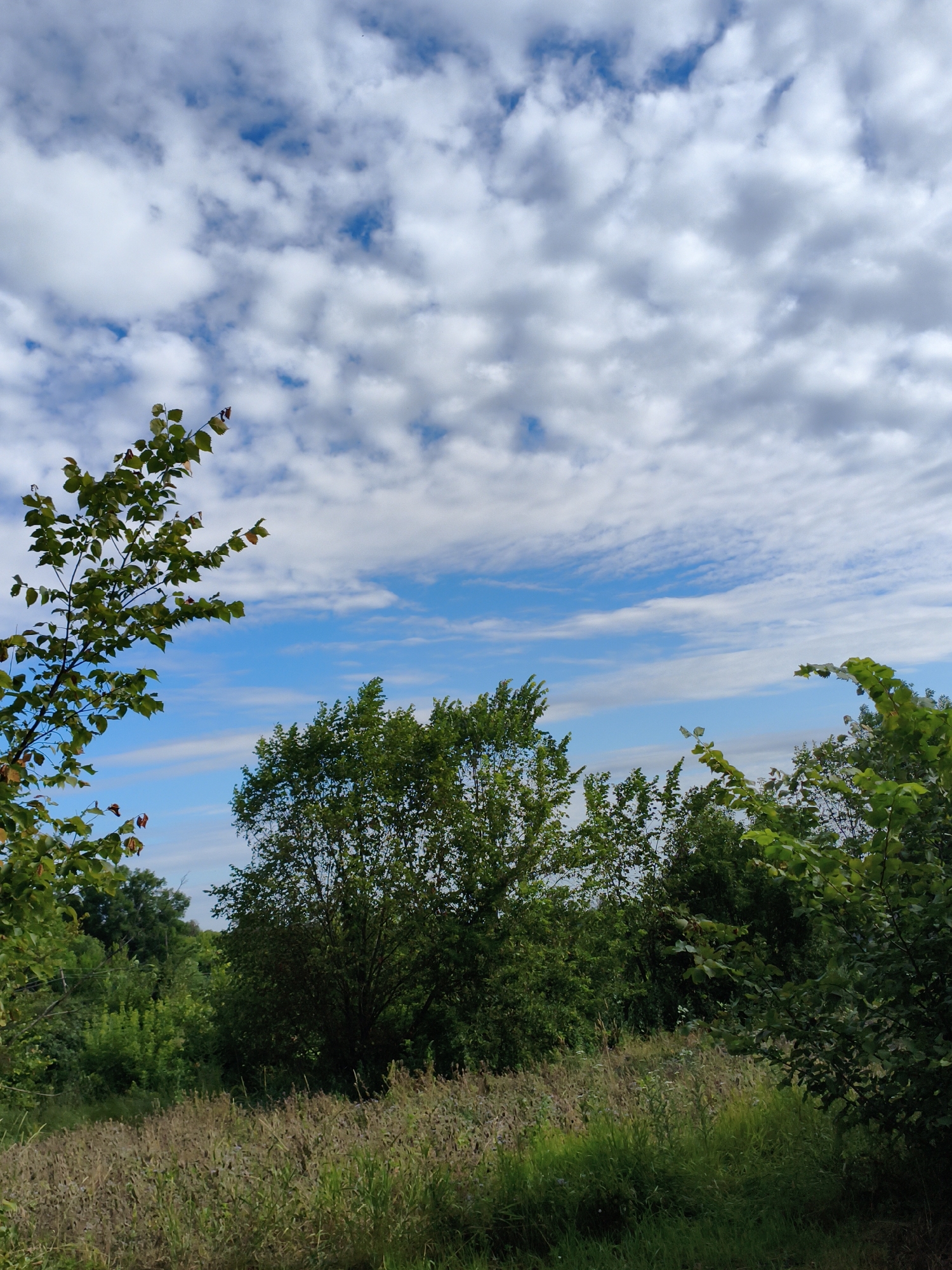 Quiet morning ride through a rural Ukrainian village
