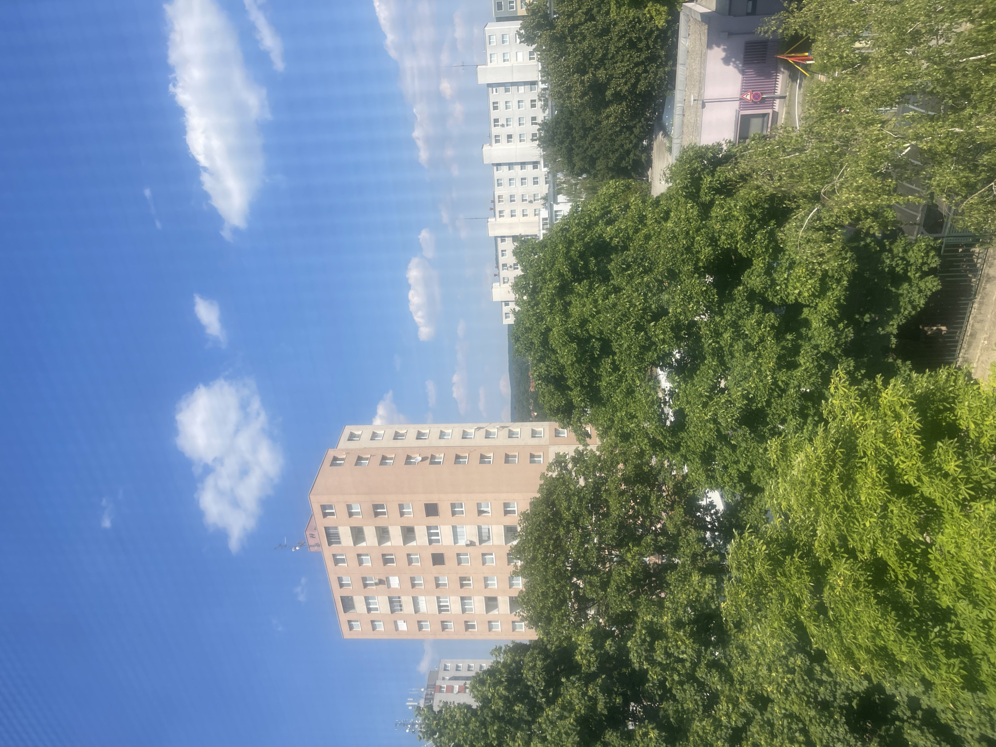 Sunny day snapshots around a tree-lined residential block