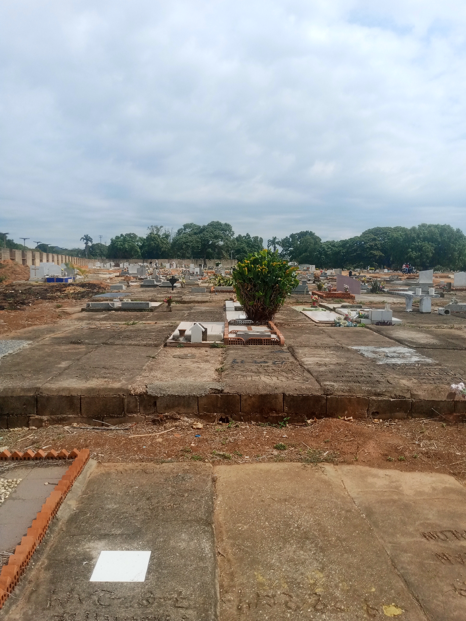 Cemetery documented in Tinaquillo, Venezuela