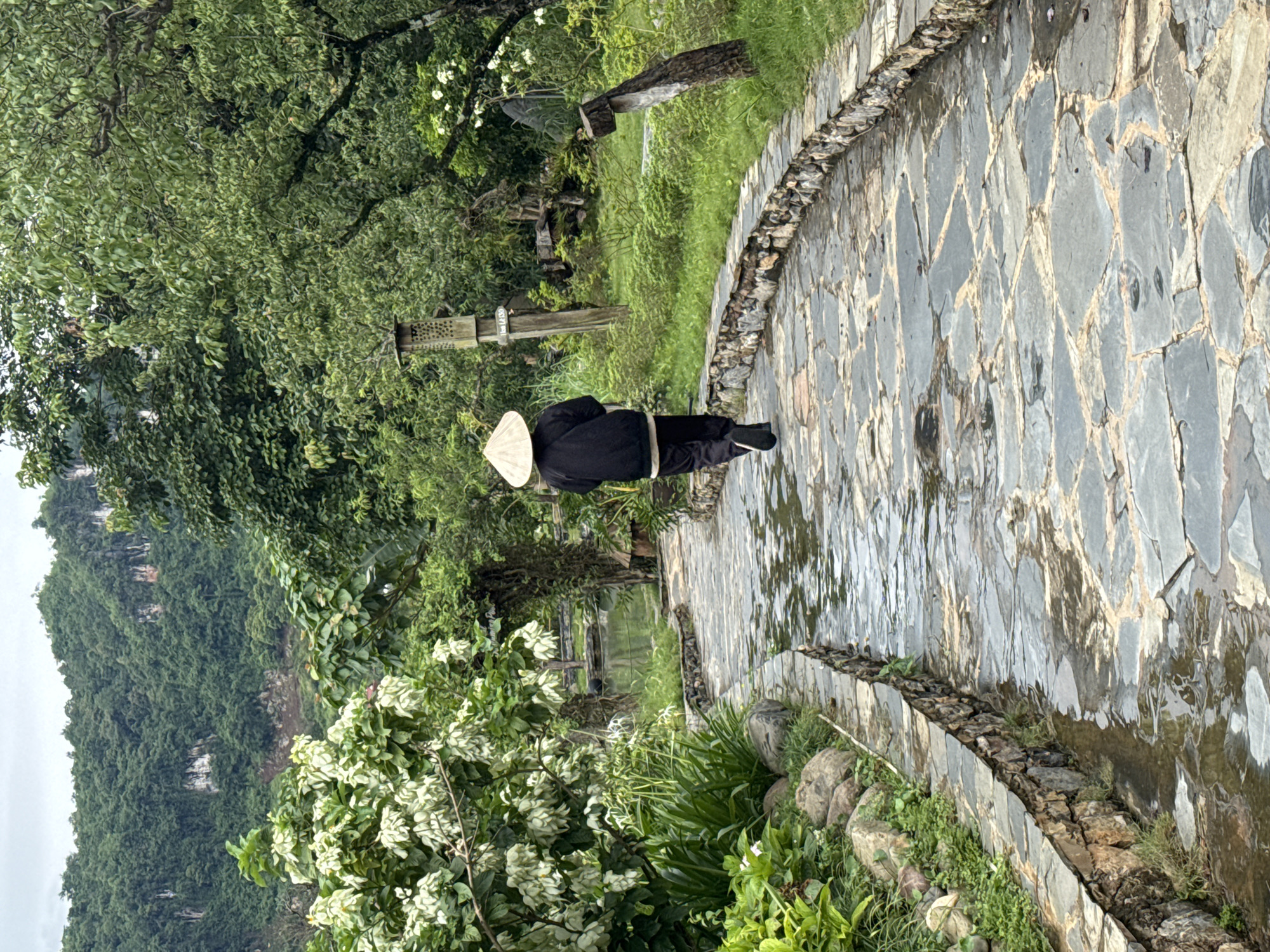 Tourist documents morning visit to Moc Chau resort and gardens